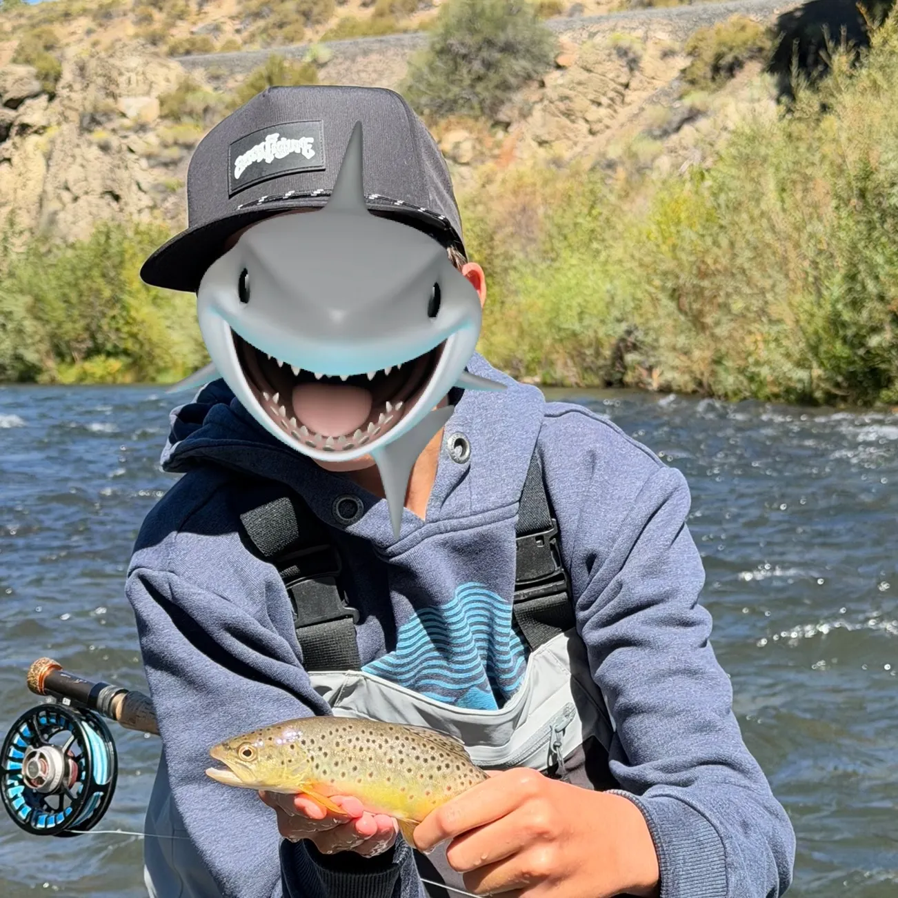 Brown trout caught on Fishbrain