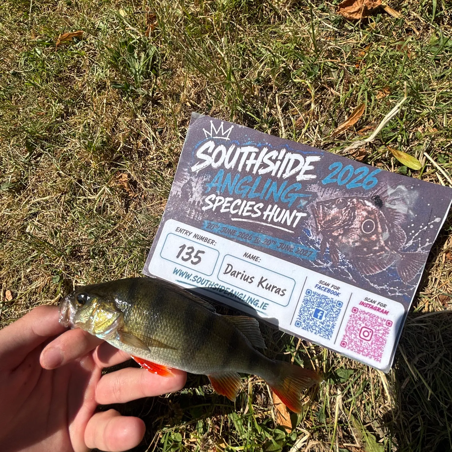 recently logged catches