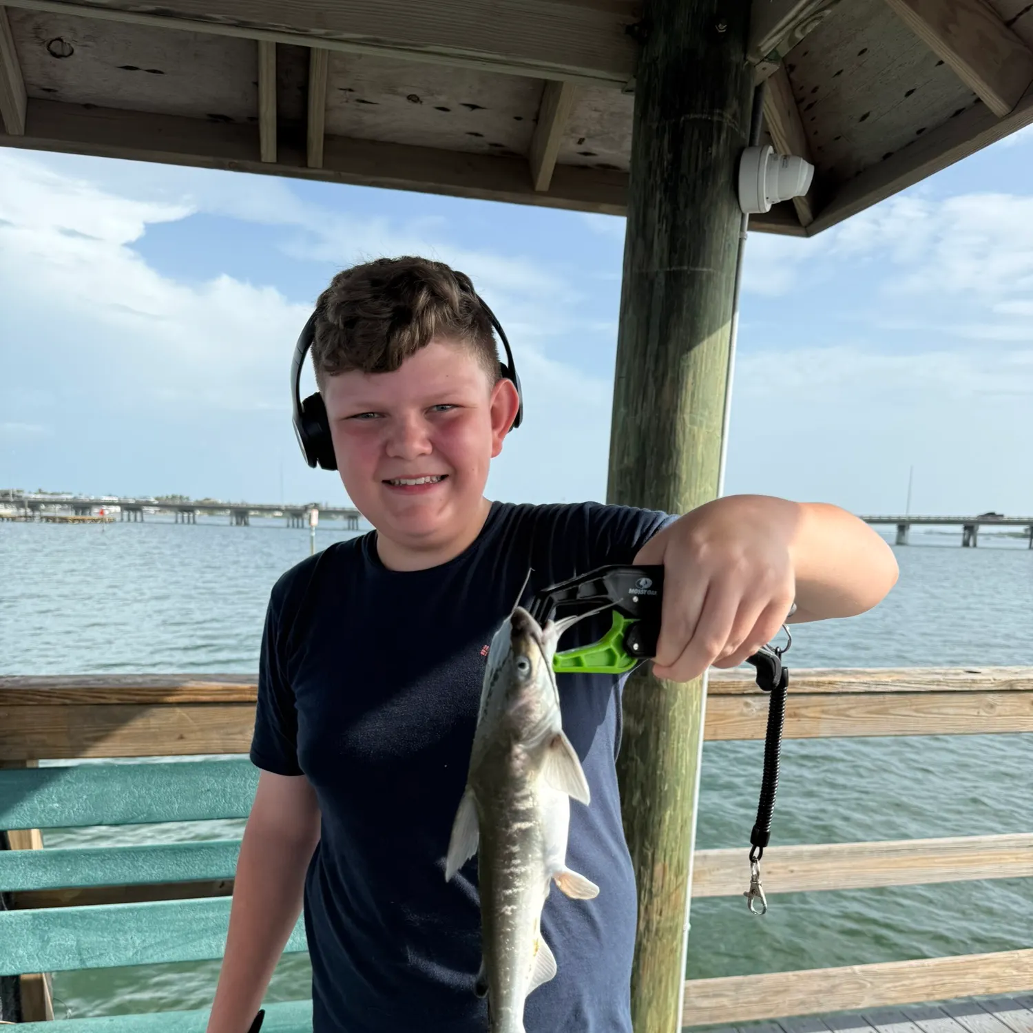 The most recent Hardhead sea catfish catches on Fishbrain