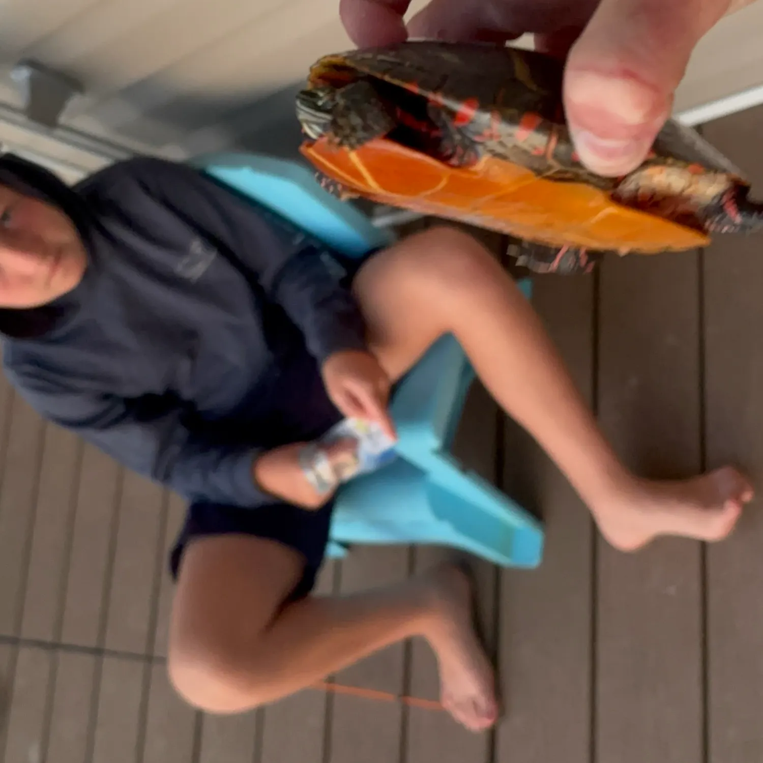 The most recent Painted turtle catches on Fishbrain