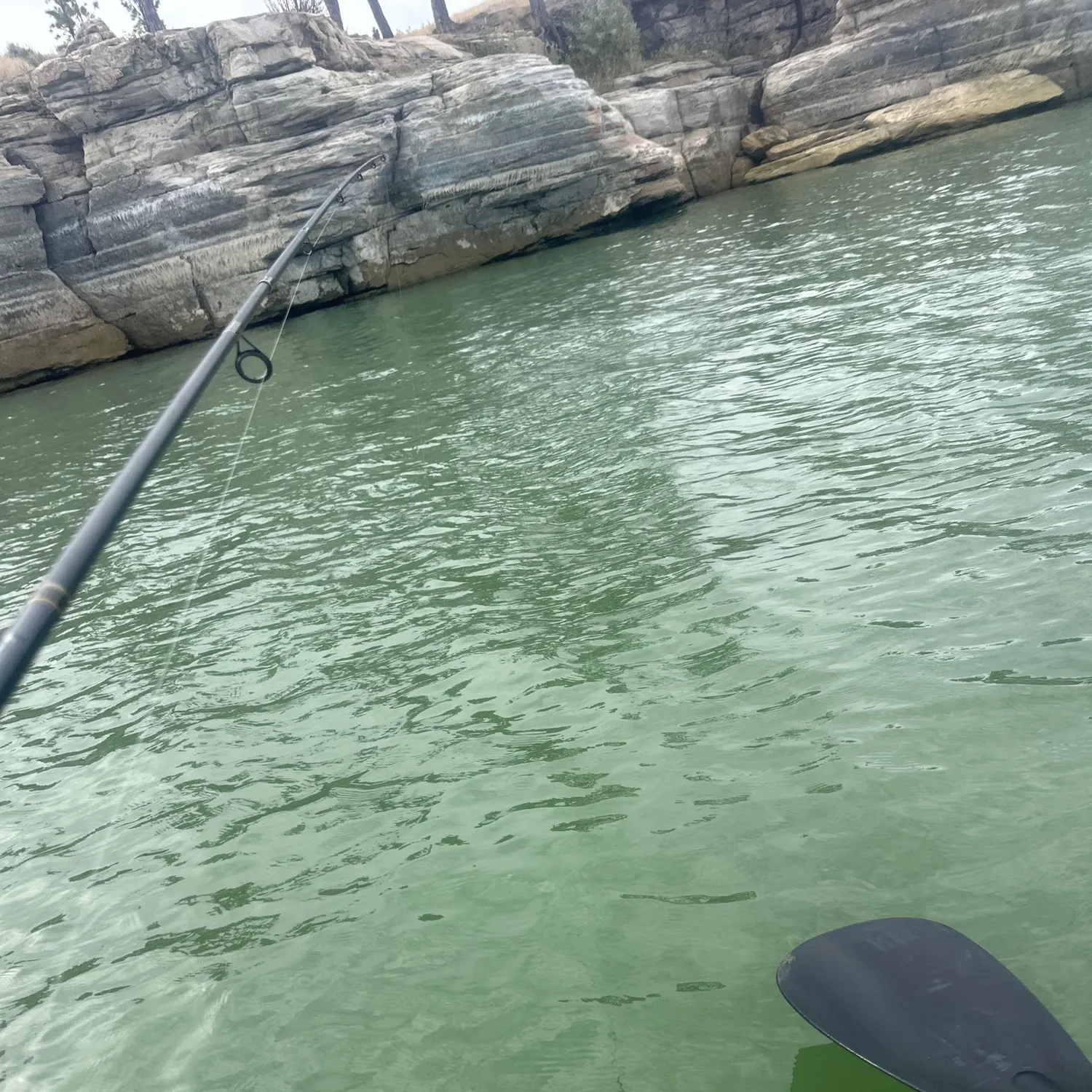 Walleye caught on Fishbrain