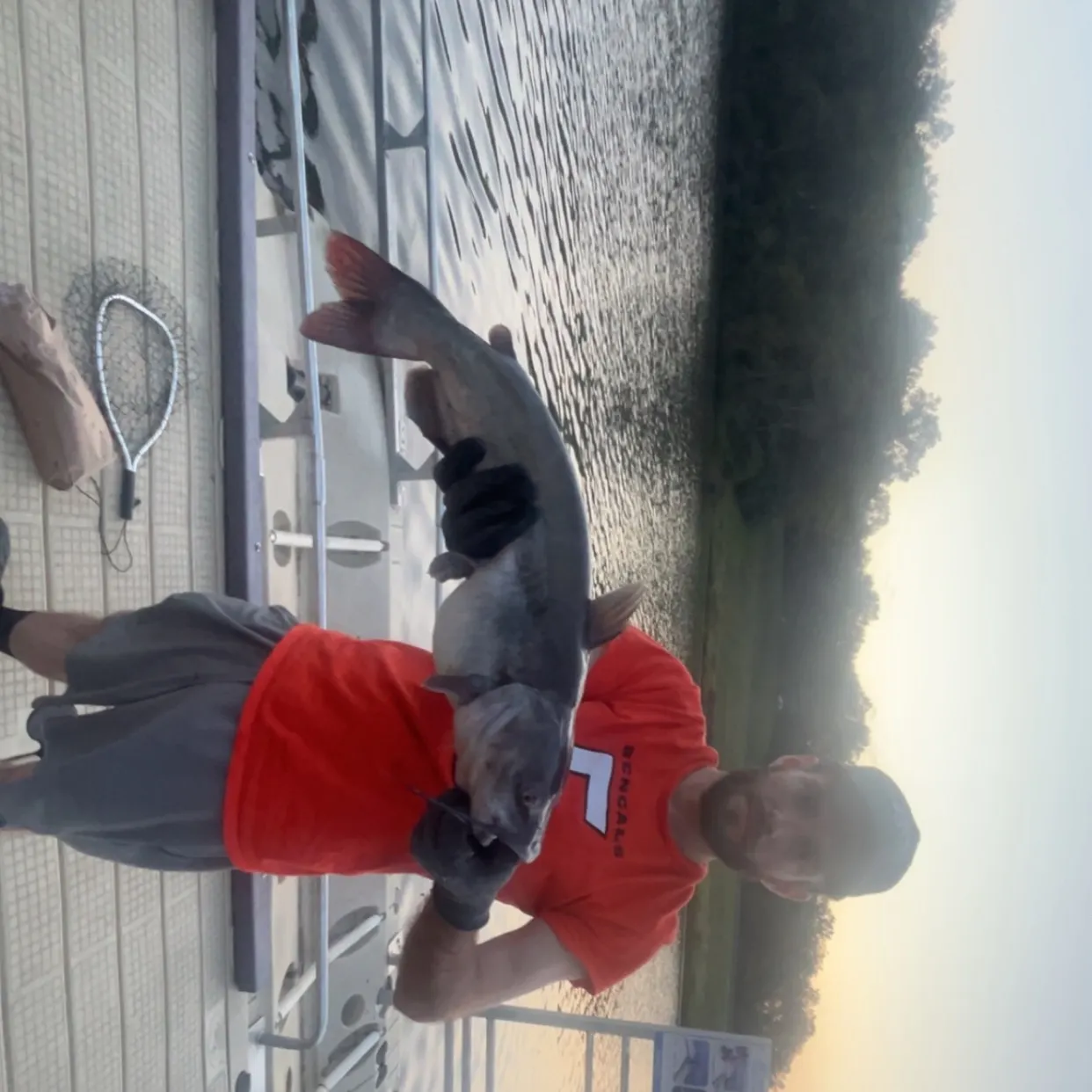 Blue catfish caught on Fishbrain