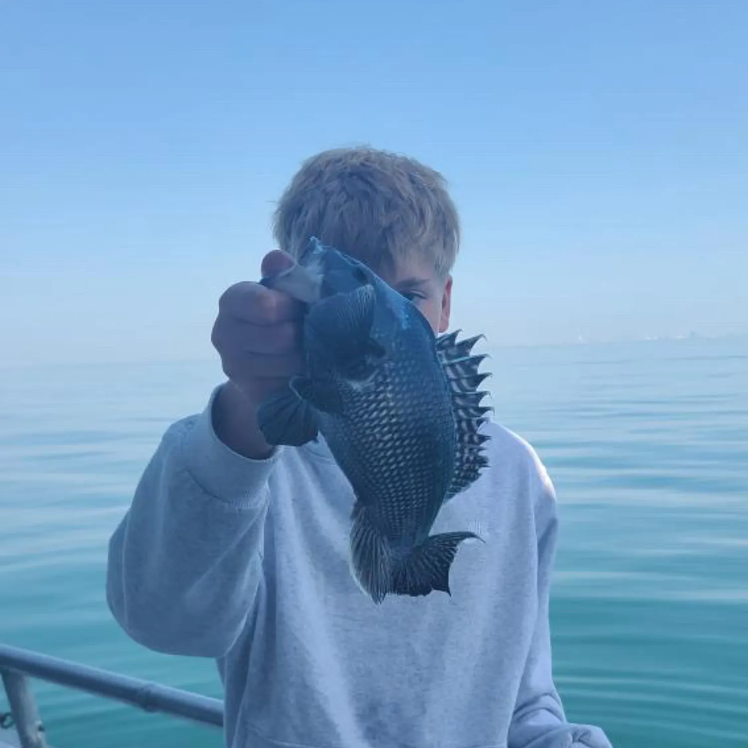 most liked catch image