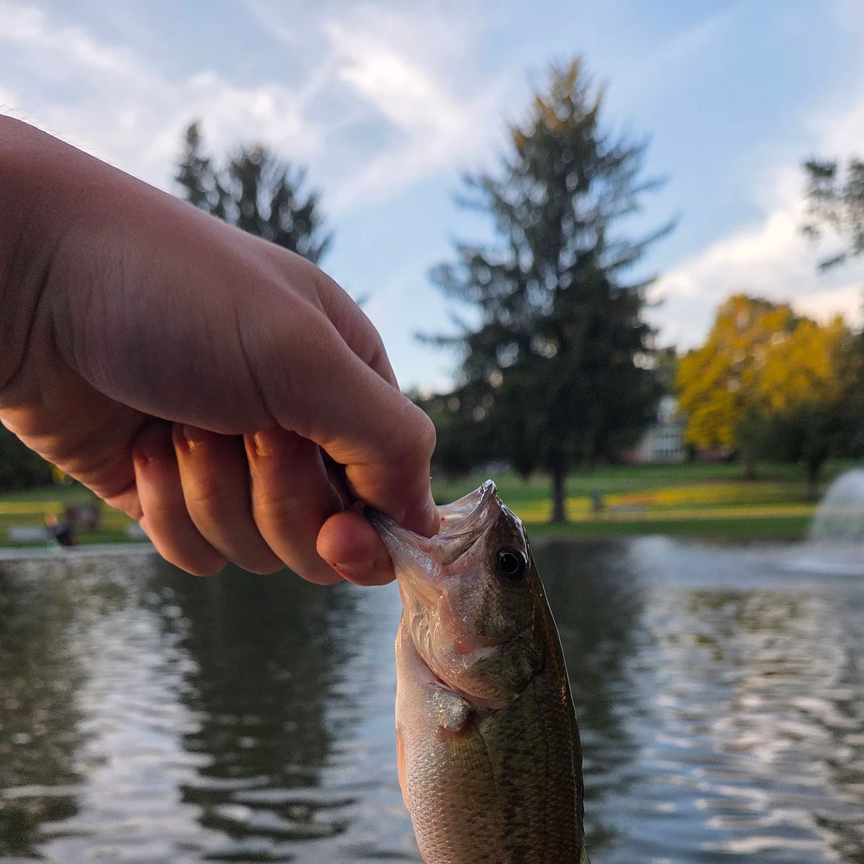 catch