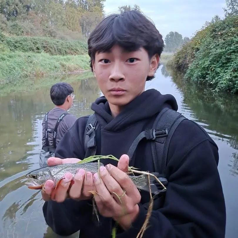 Rainbow trout caught on Fishbrain