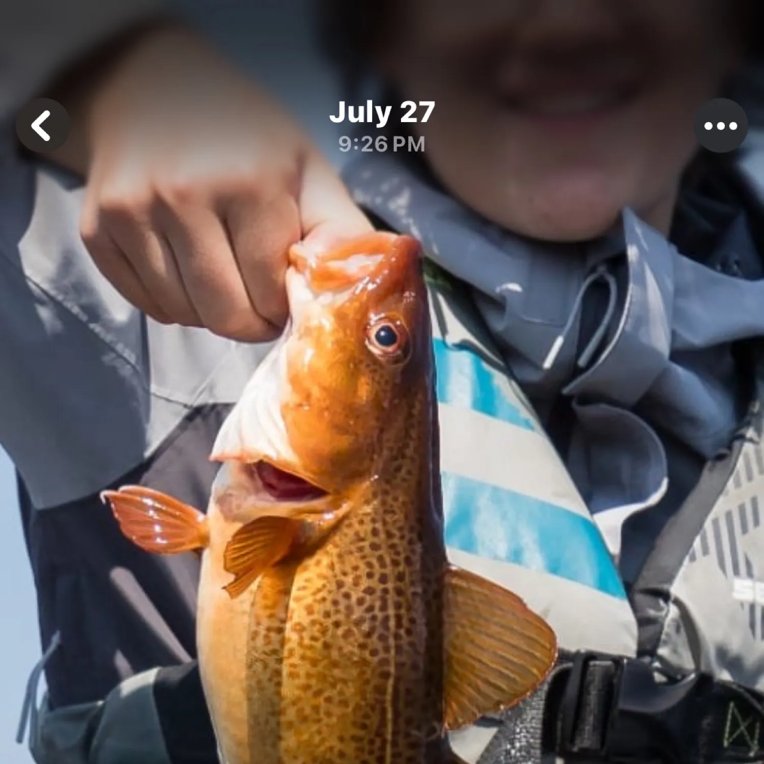 recently logged catches