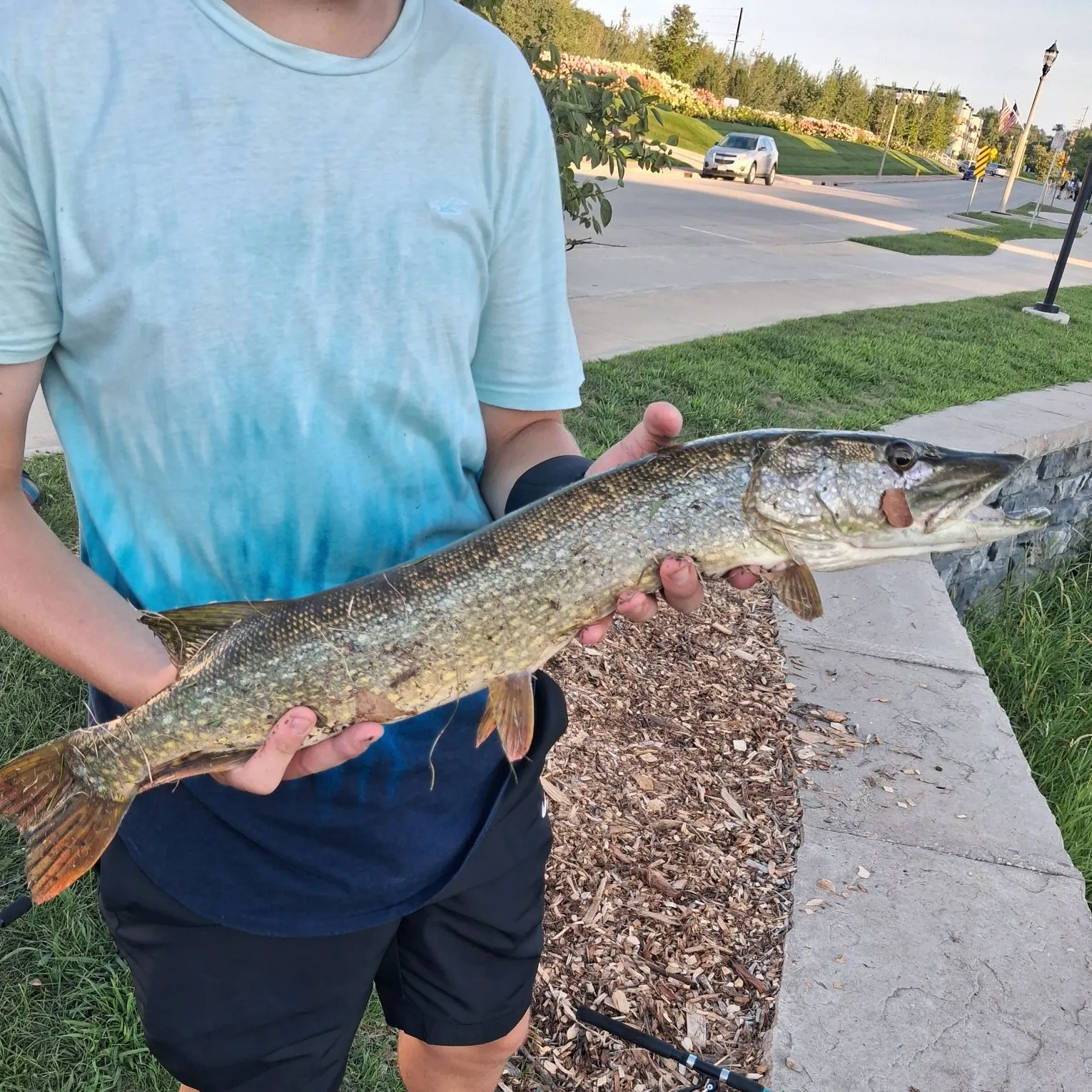 catch