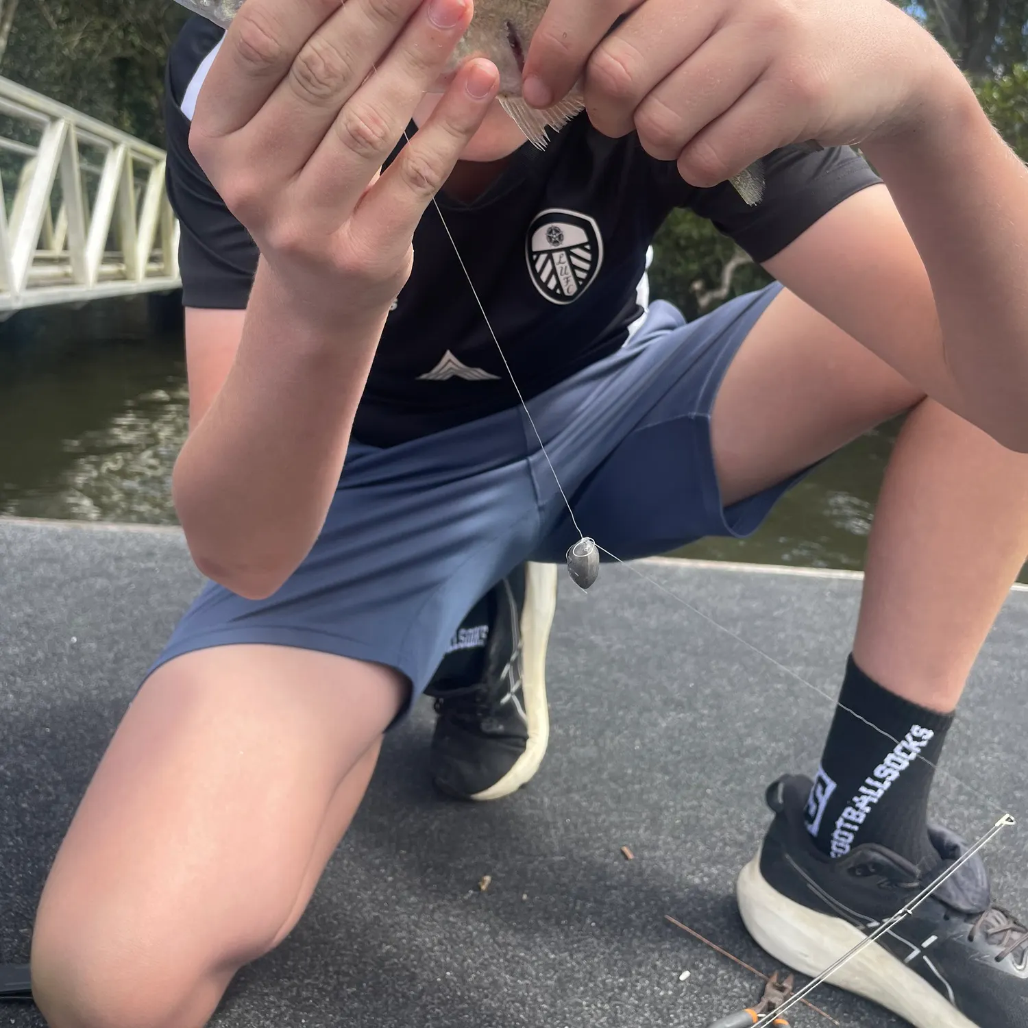 The most recent Yellow-eye mullet catches on Fishbrain