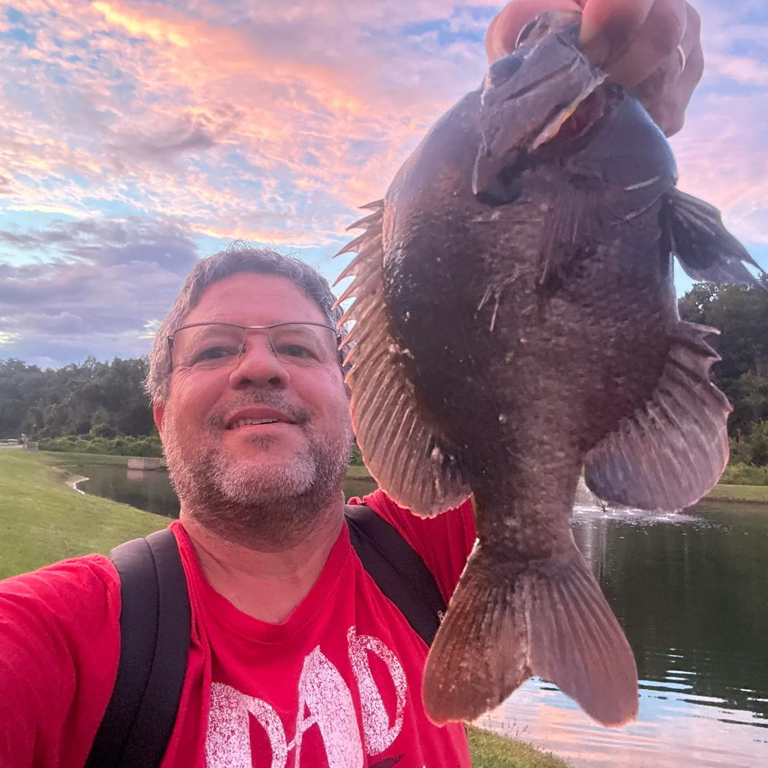 Bluegill caught on Fishbrain