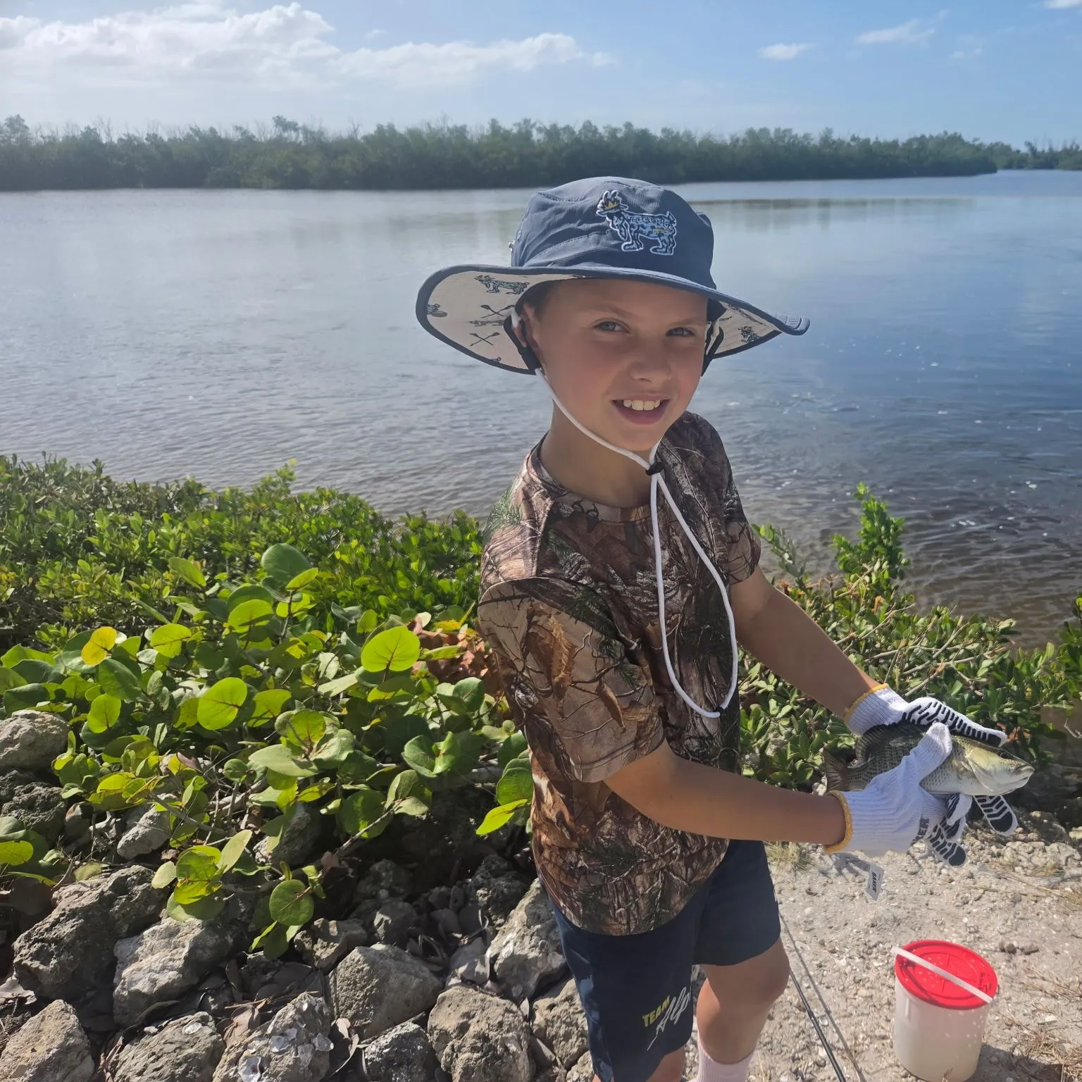 Mangrove snapper caught on Fishbrain