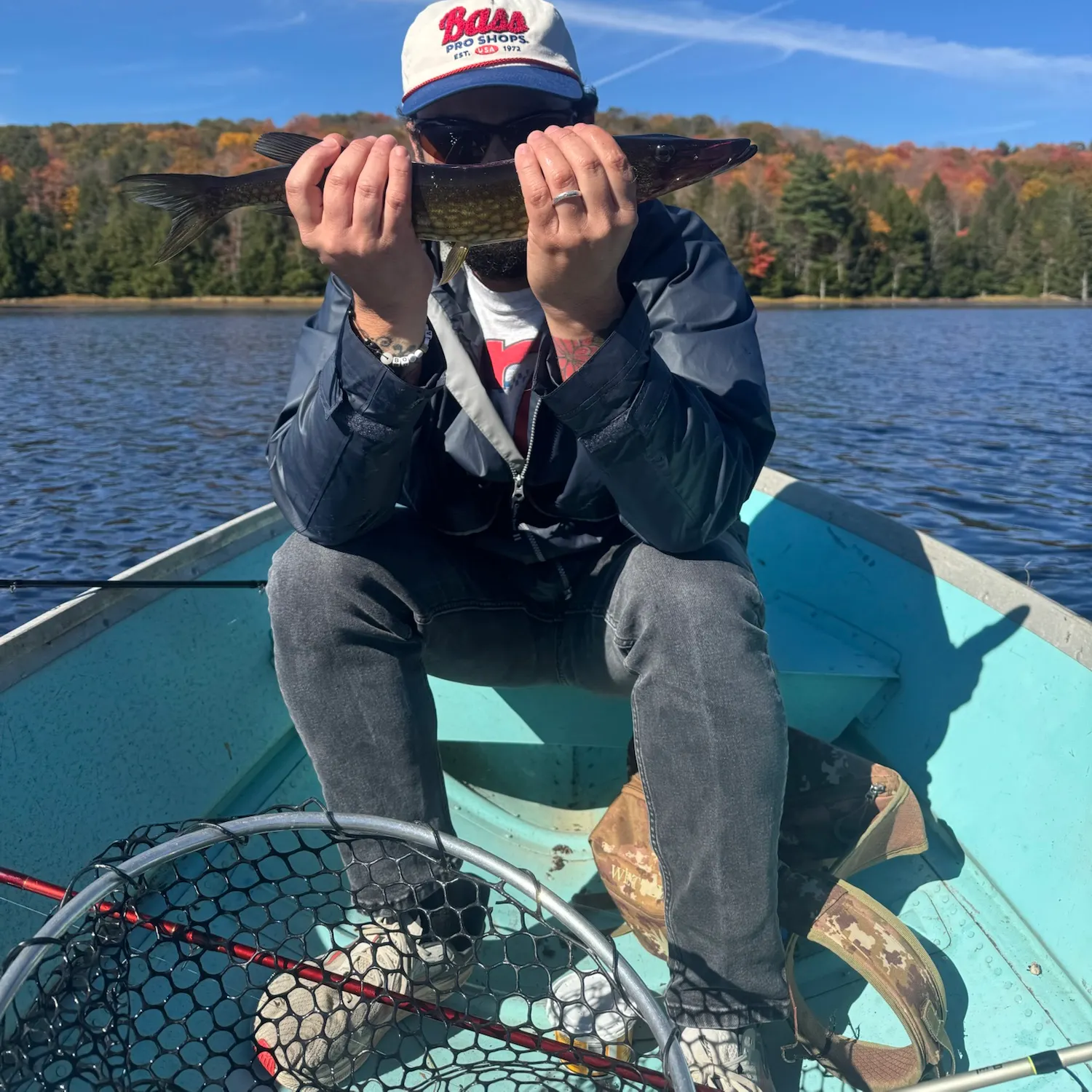 Chain pickerel caught on Fishbrain