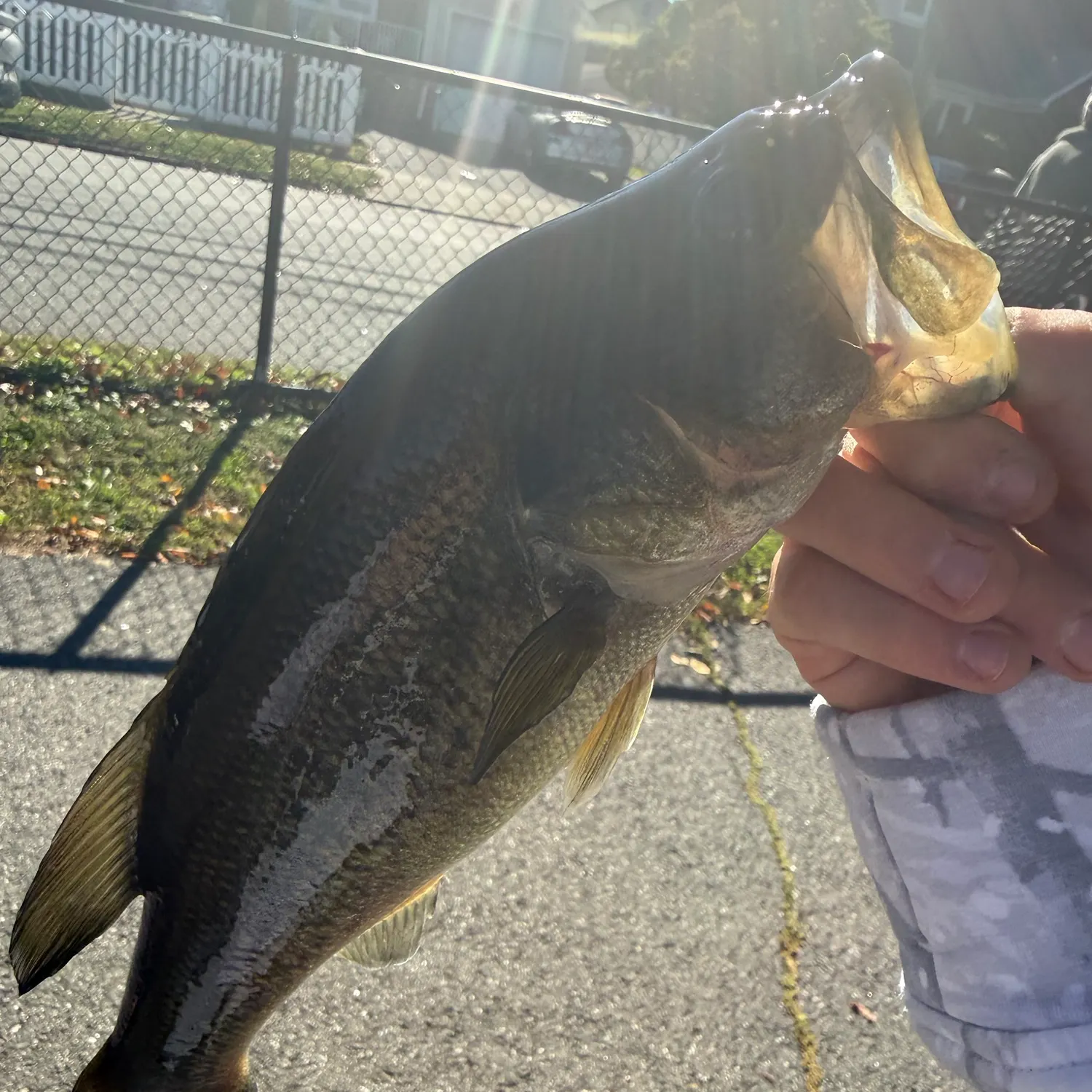 catch