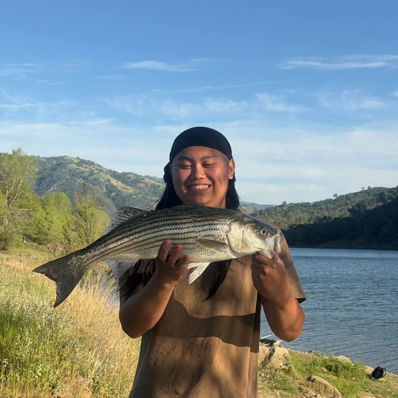 Striped bass caught on Fishbrain