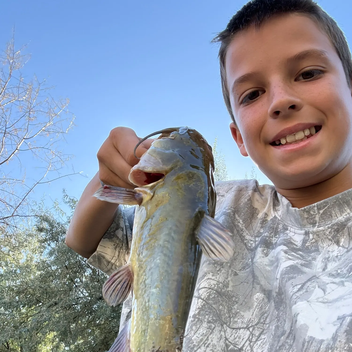 Yellow bullhead caught on Fishbrain