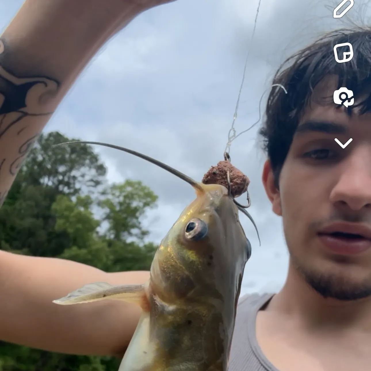 recently logged catches