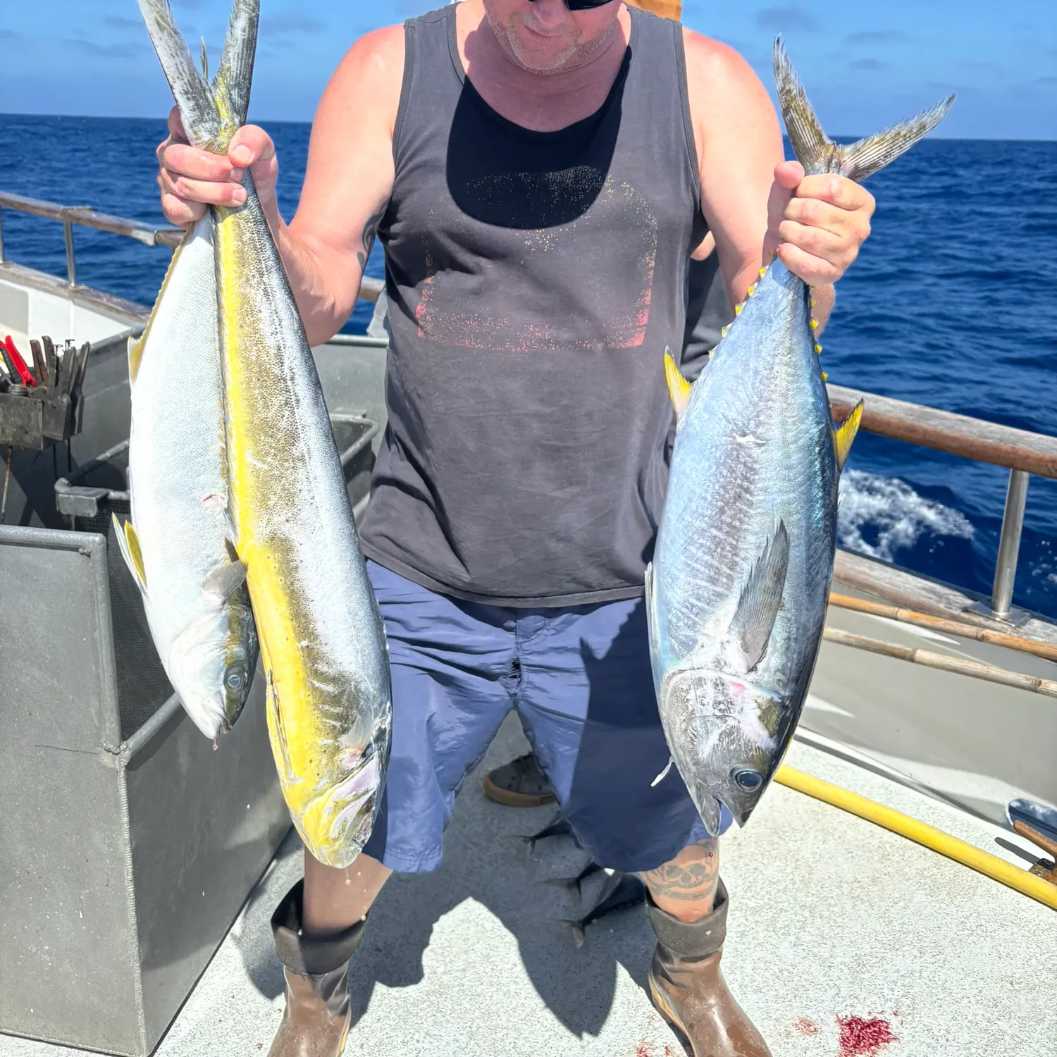 Common dolphinfish caught on Fishbrain