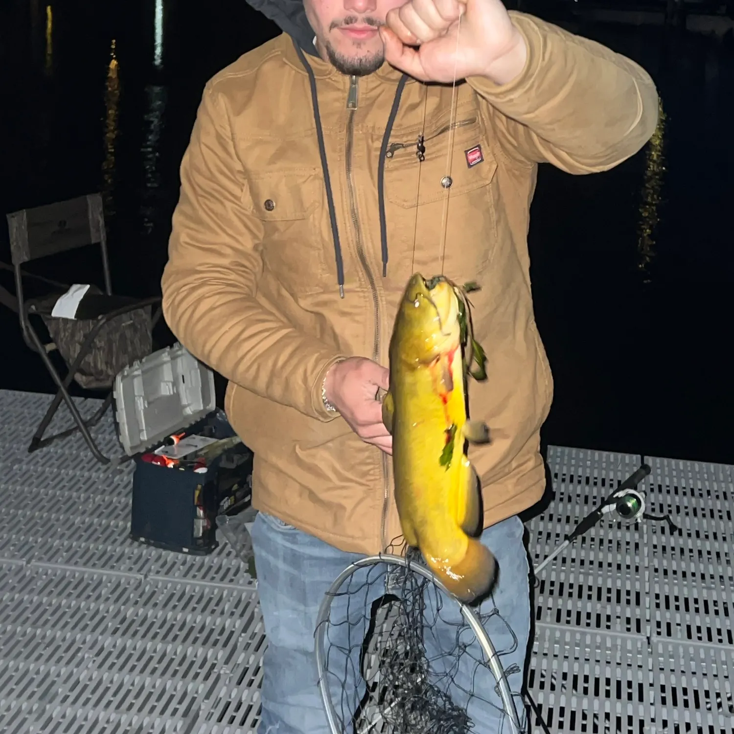 Yellow bullhead caught on Fishbrain