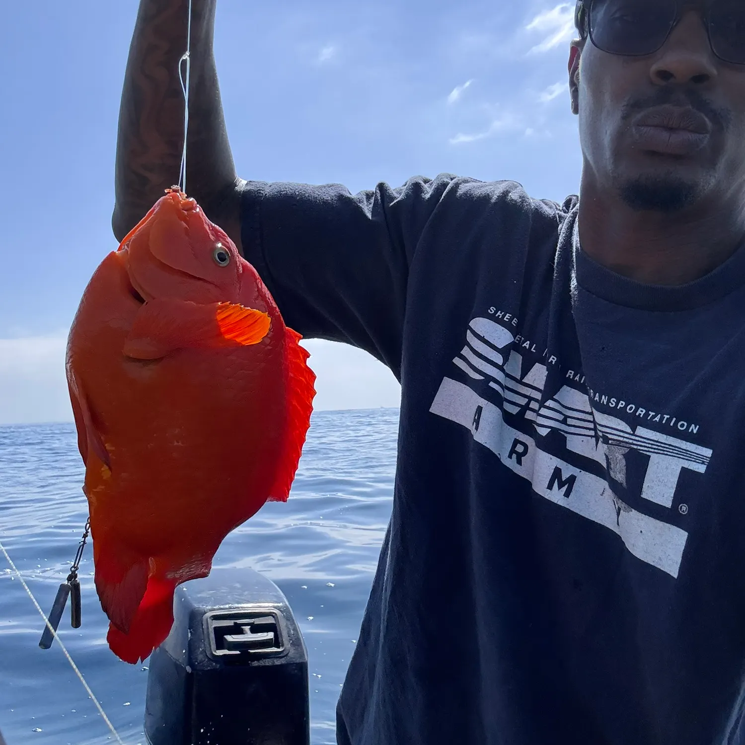 The most recent Garibaldi damselfish catches on Fishbrain