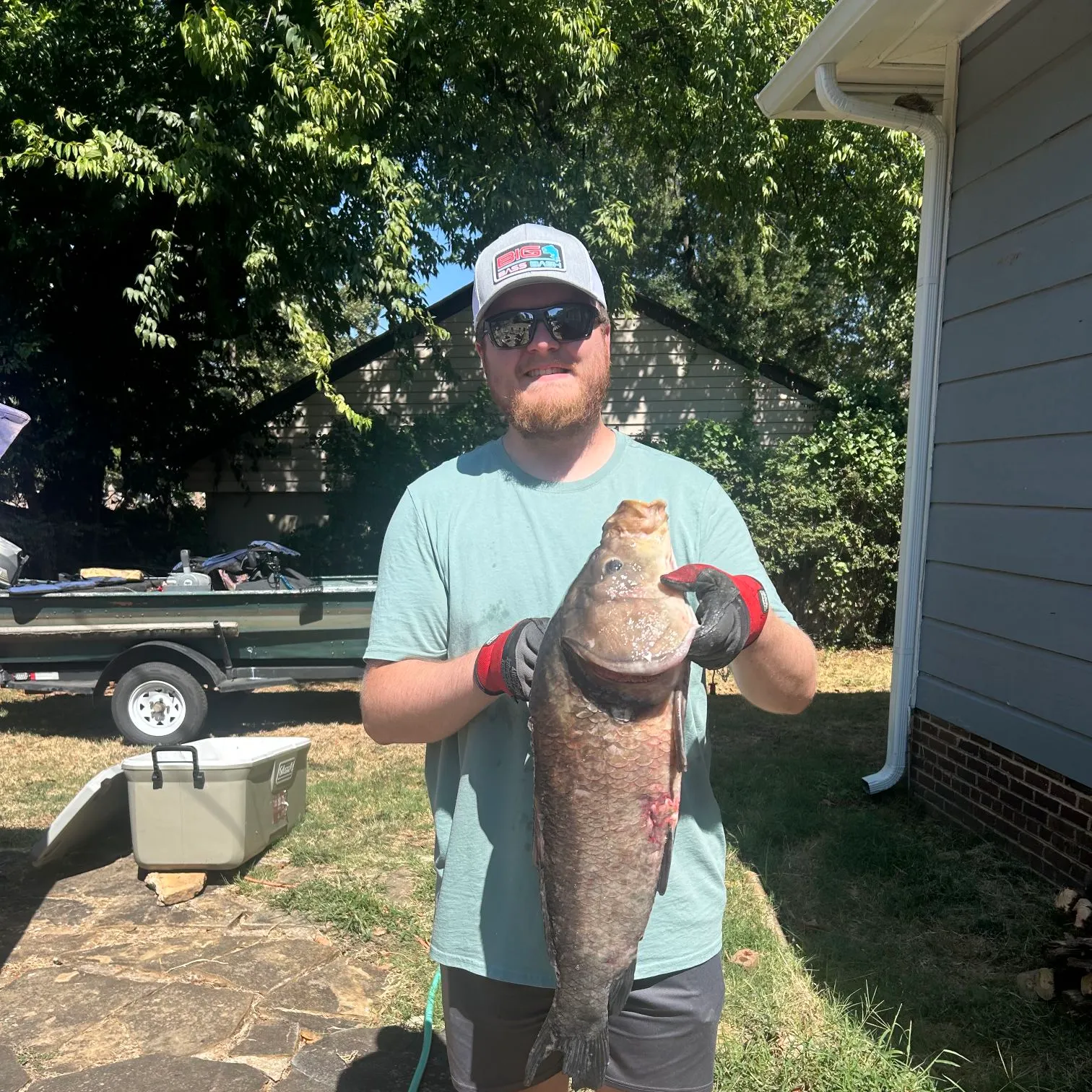 Bigmouth buffalo caught on Fishbrain