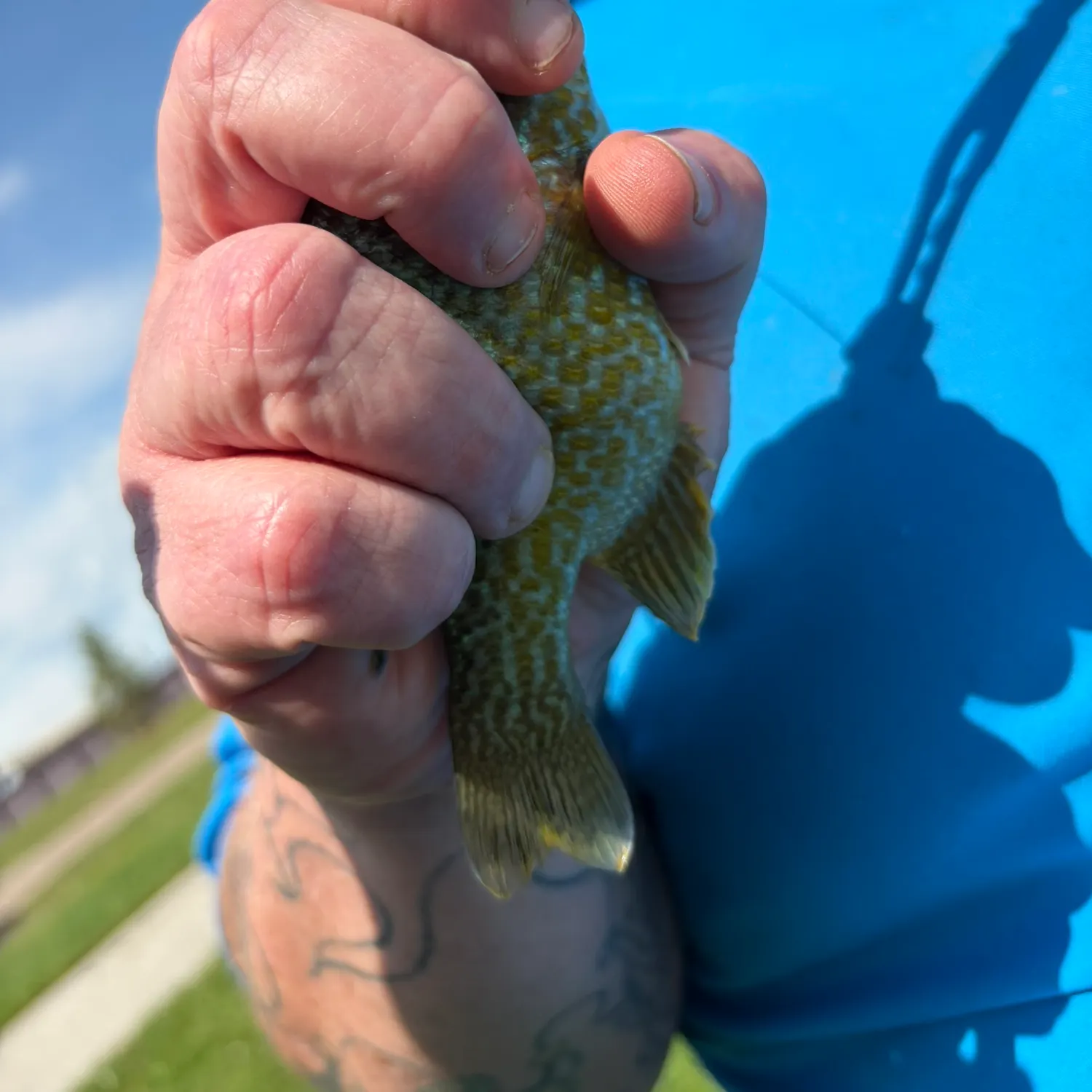 catch