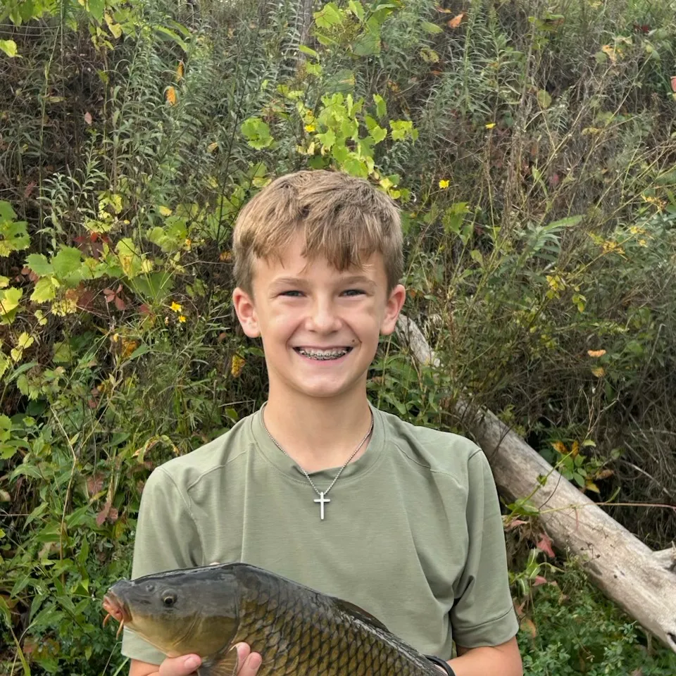 Common carp caught on Fishbrain