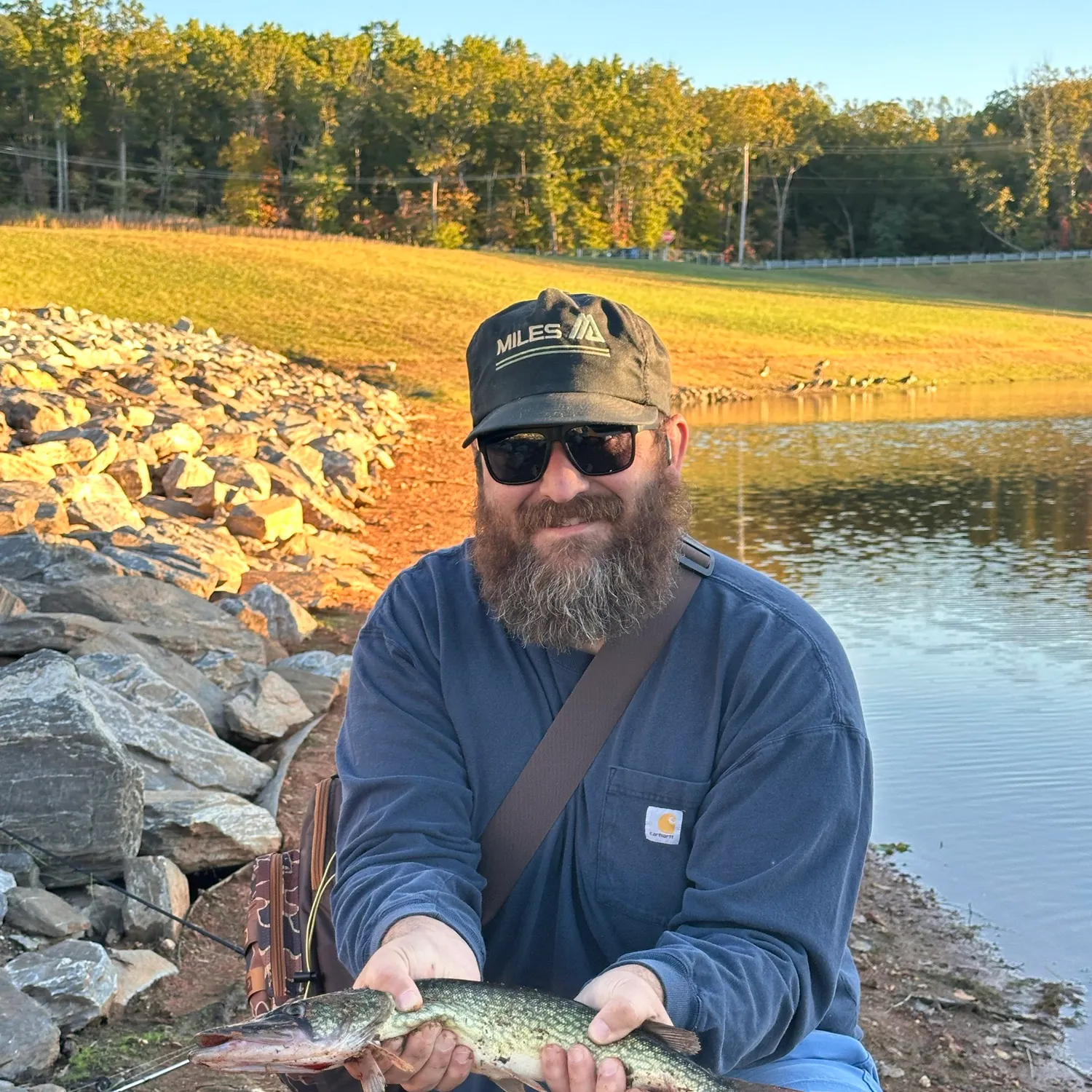 Chain pickerel caught on Fishbrain
