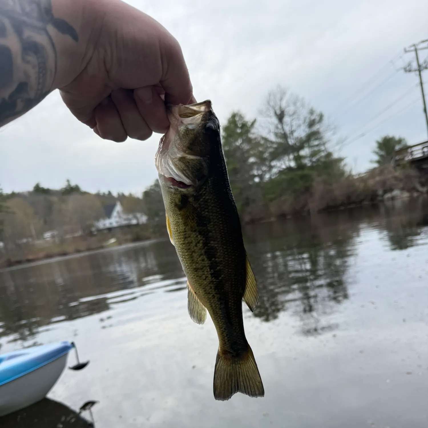 catch