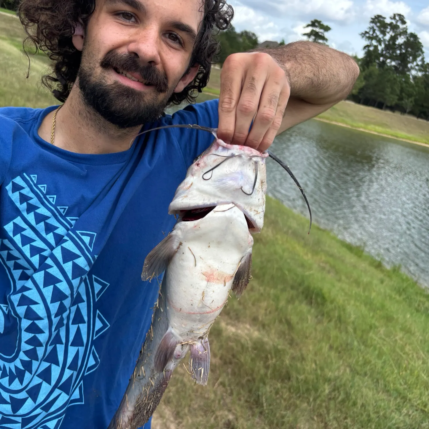 Channel catfish caught on Fishbrain