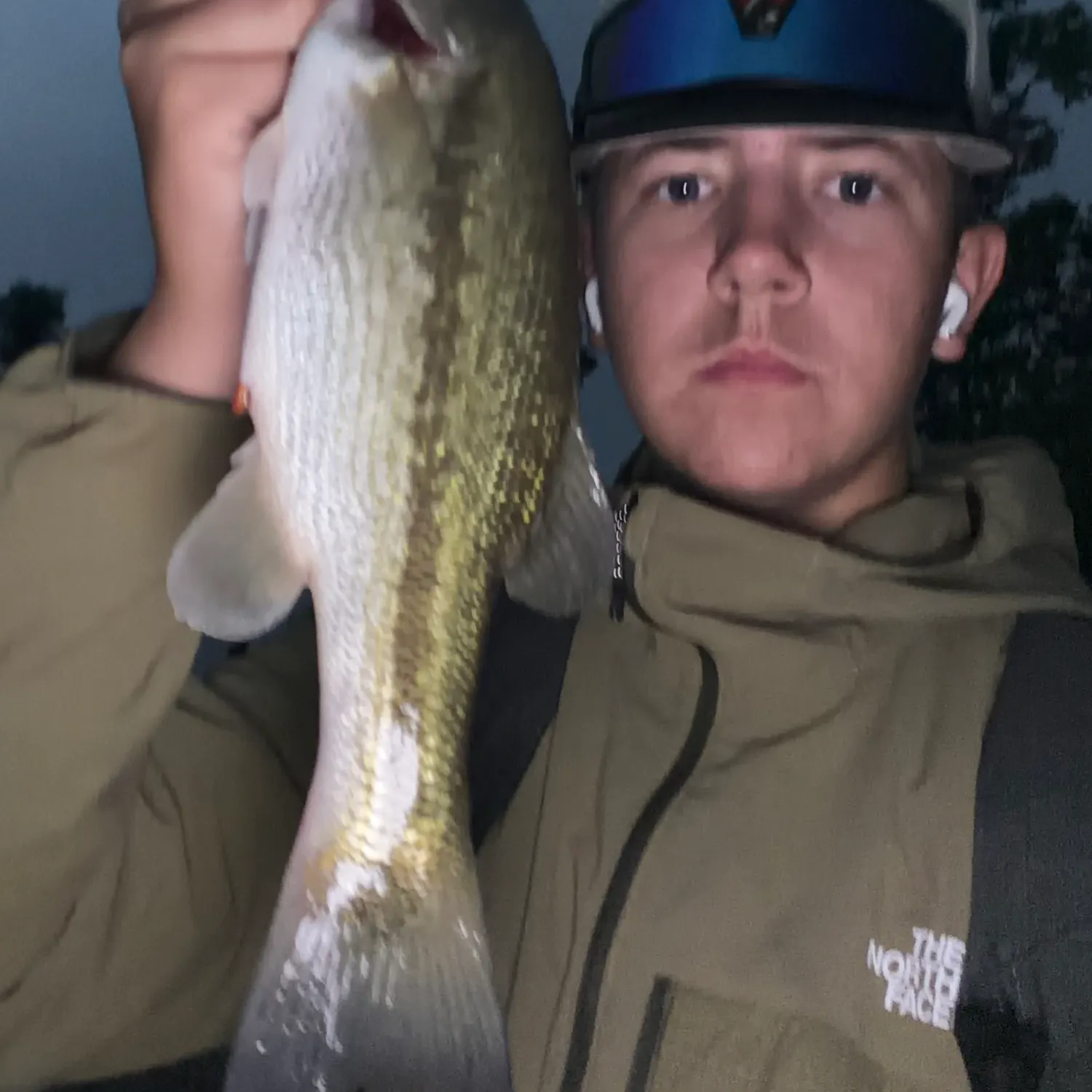 Spotted bass caught on Fishbrain