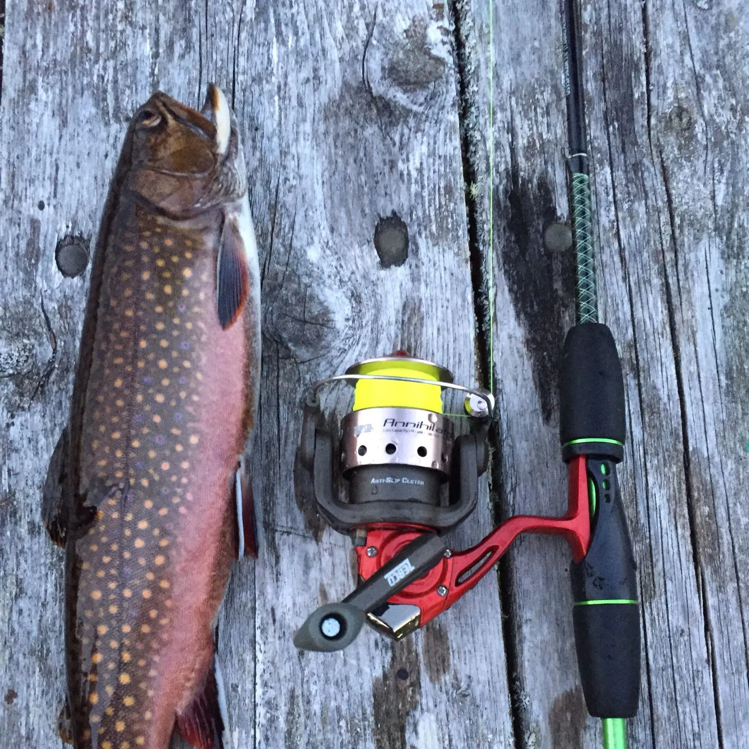 recently logged catches
