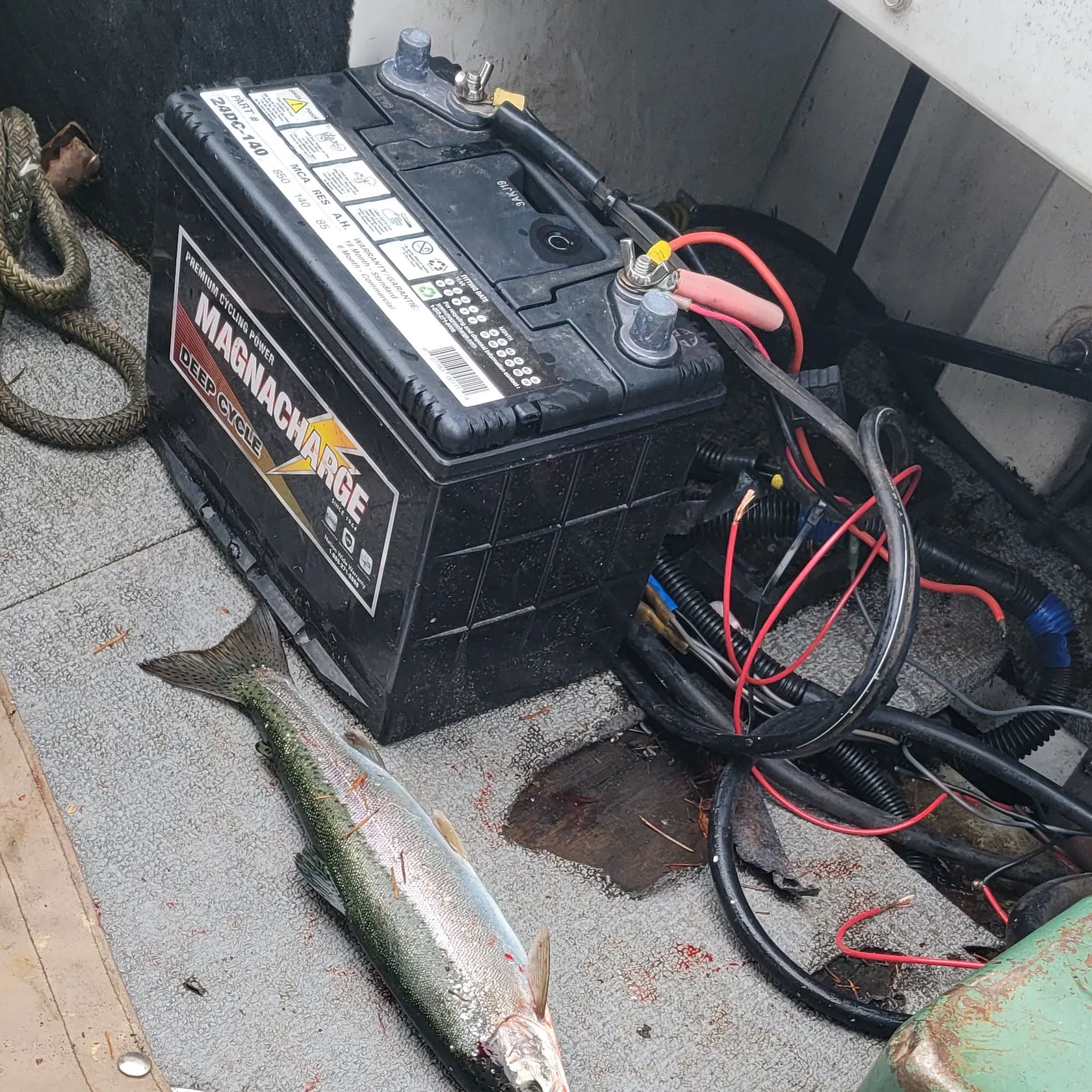 recently logged catches