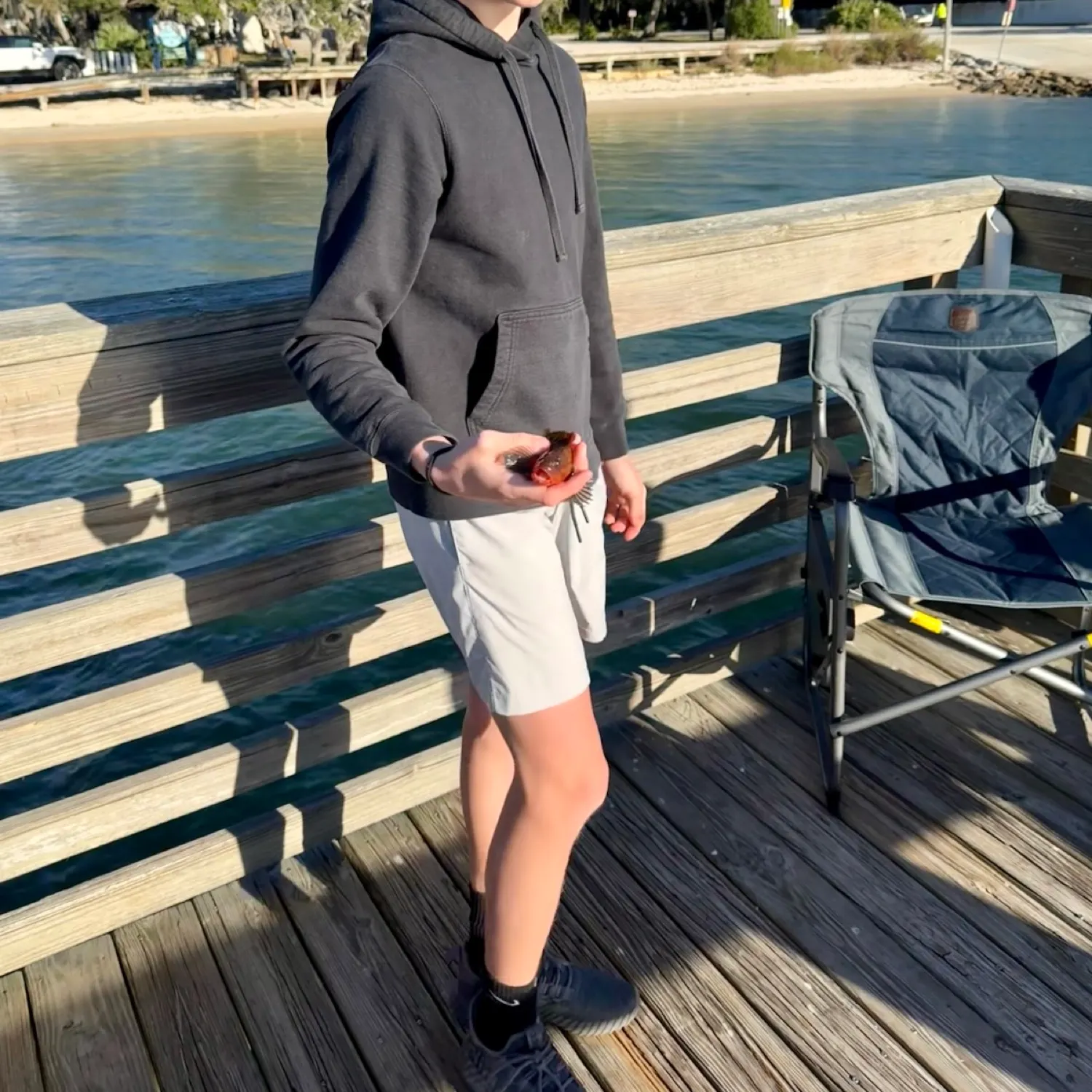 The most recent Black sea bass catches on Fishbrain