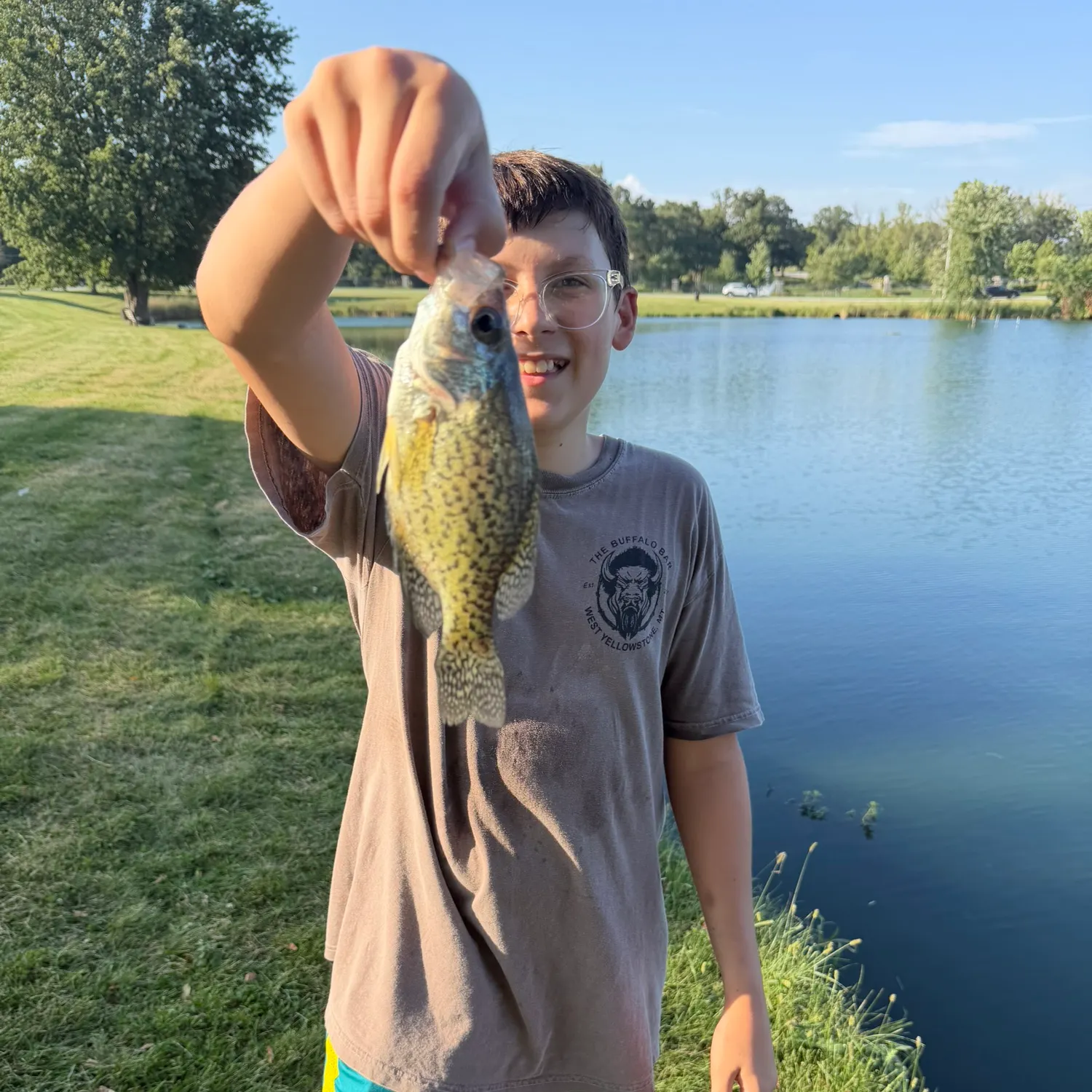 Black crappie caught on Fishbrain