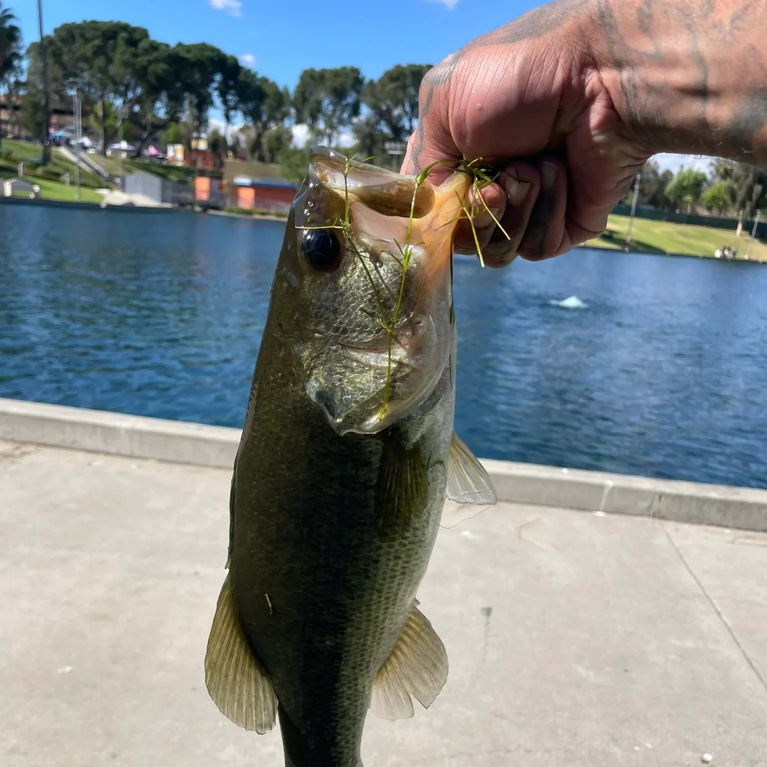 catch