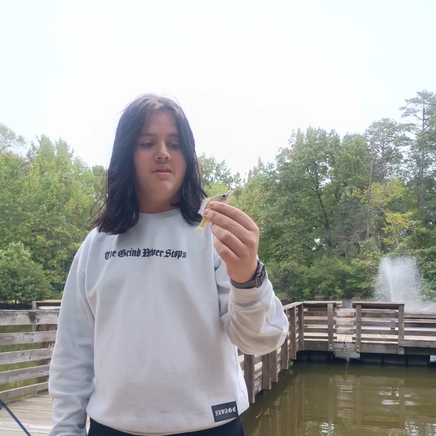 Bluegill caught on Fishbrain