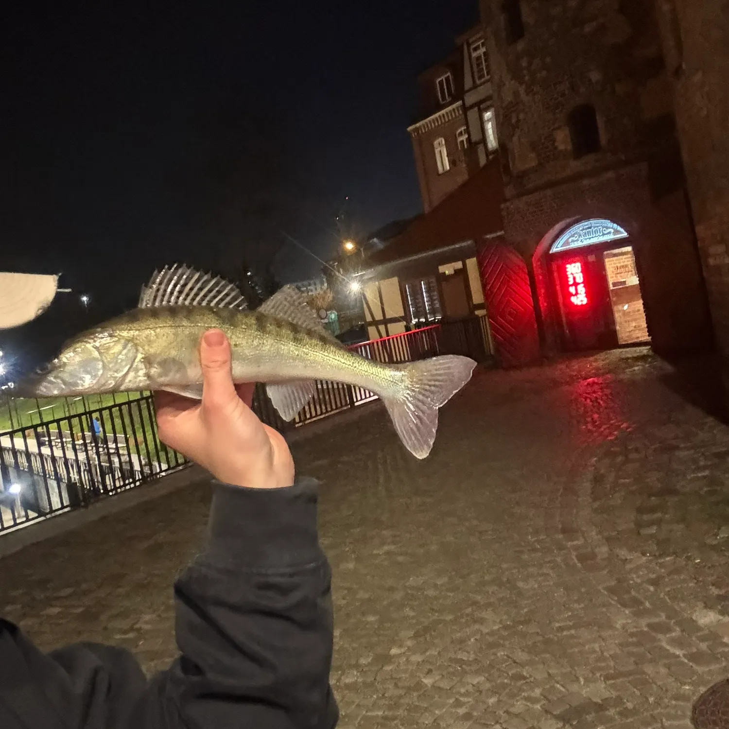 catch