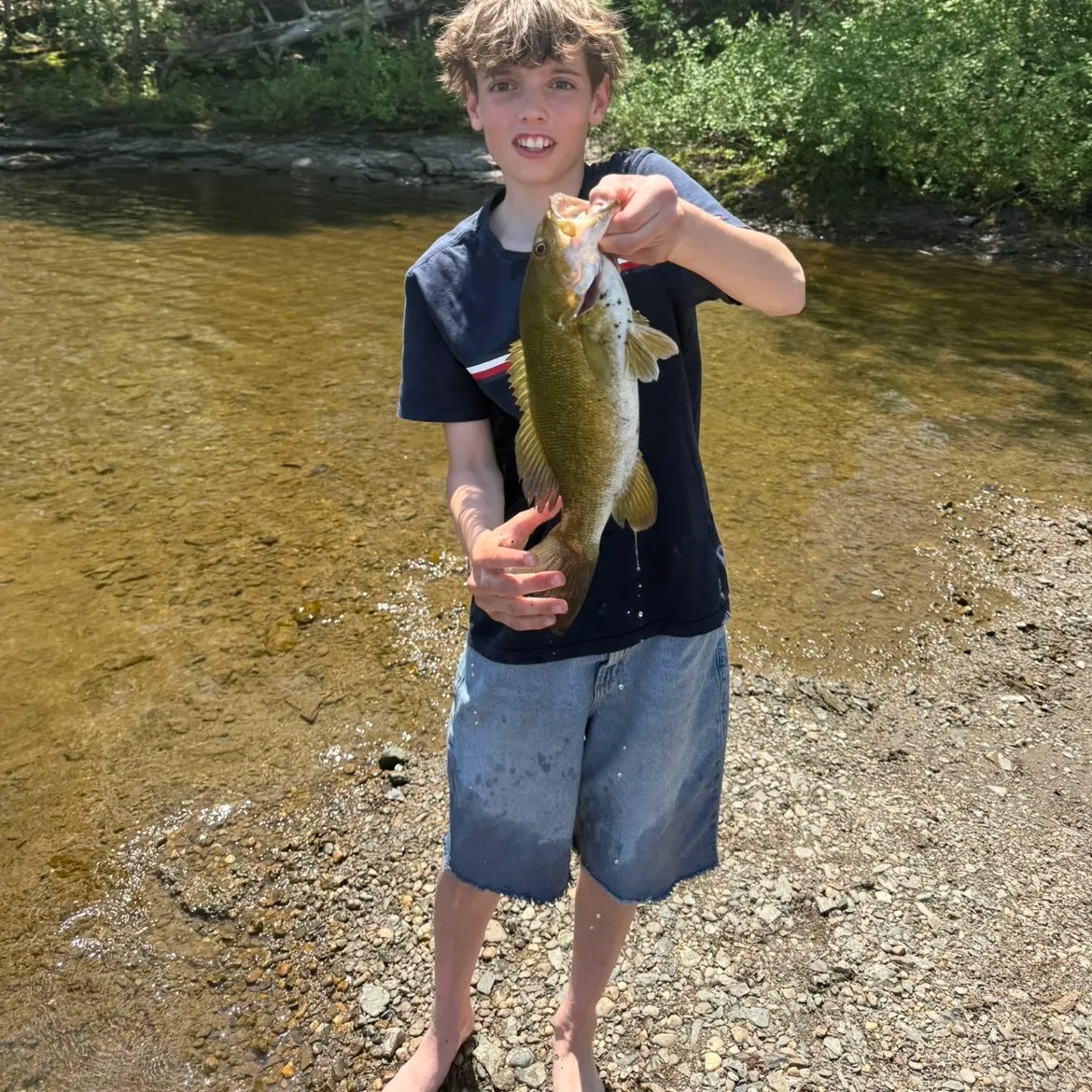 The most recent Spotted bass catches on Fishbrain