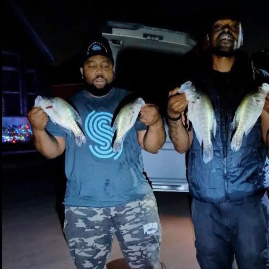 The most recent White crappie catches on Fishbrain