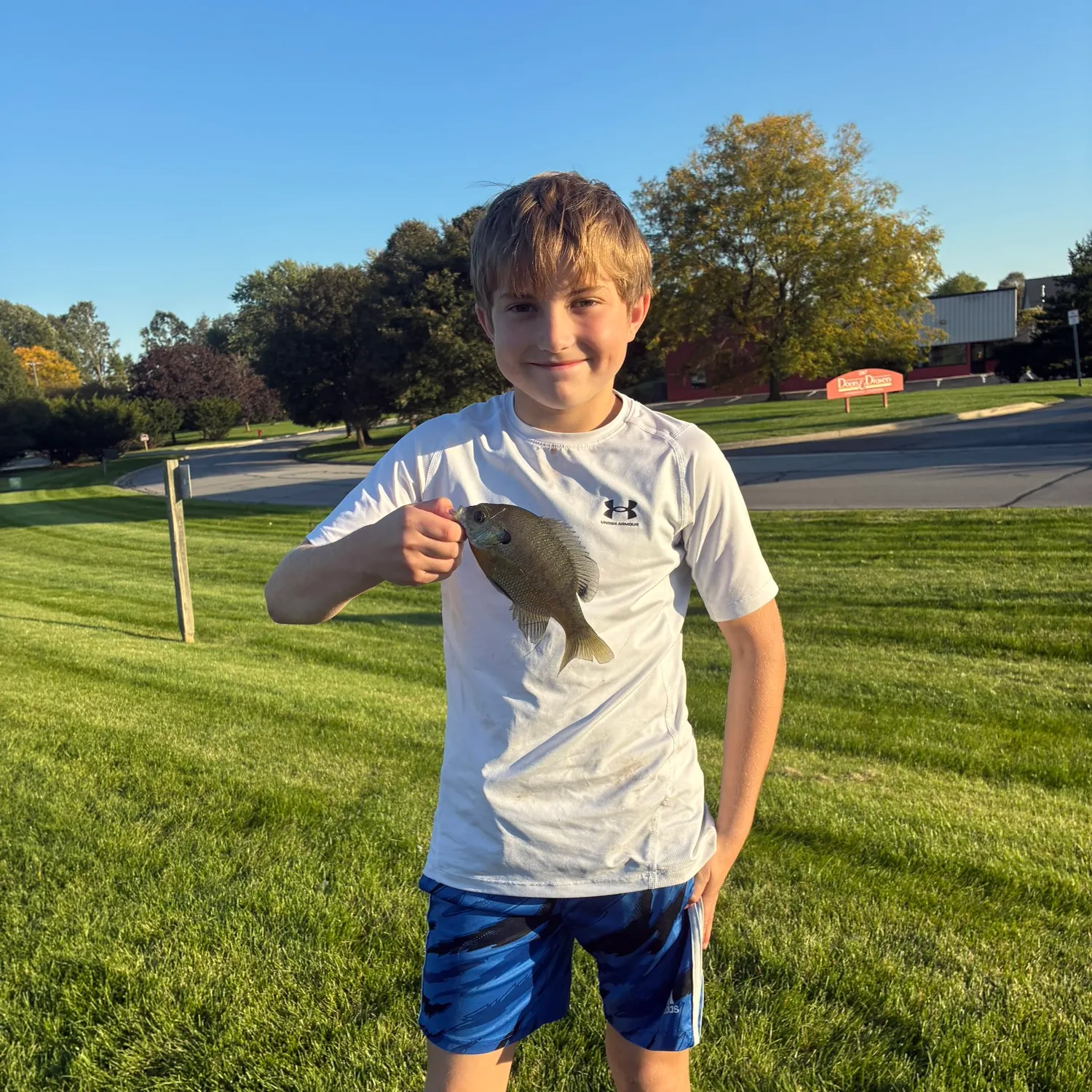 Bluegill caught on Fishbrain