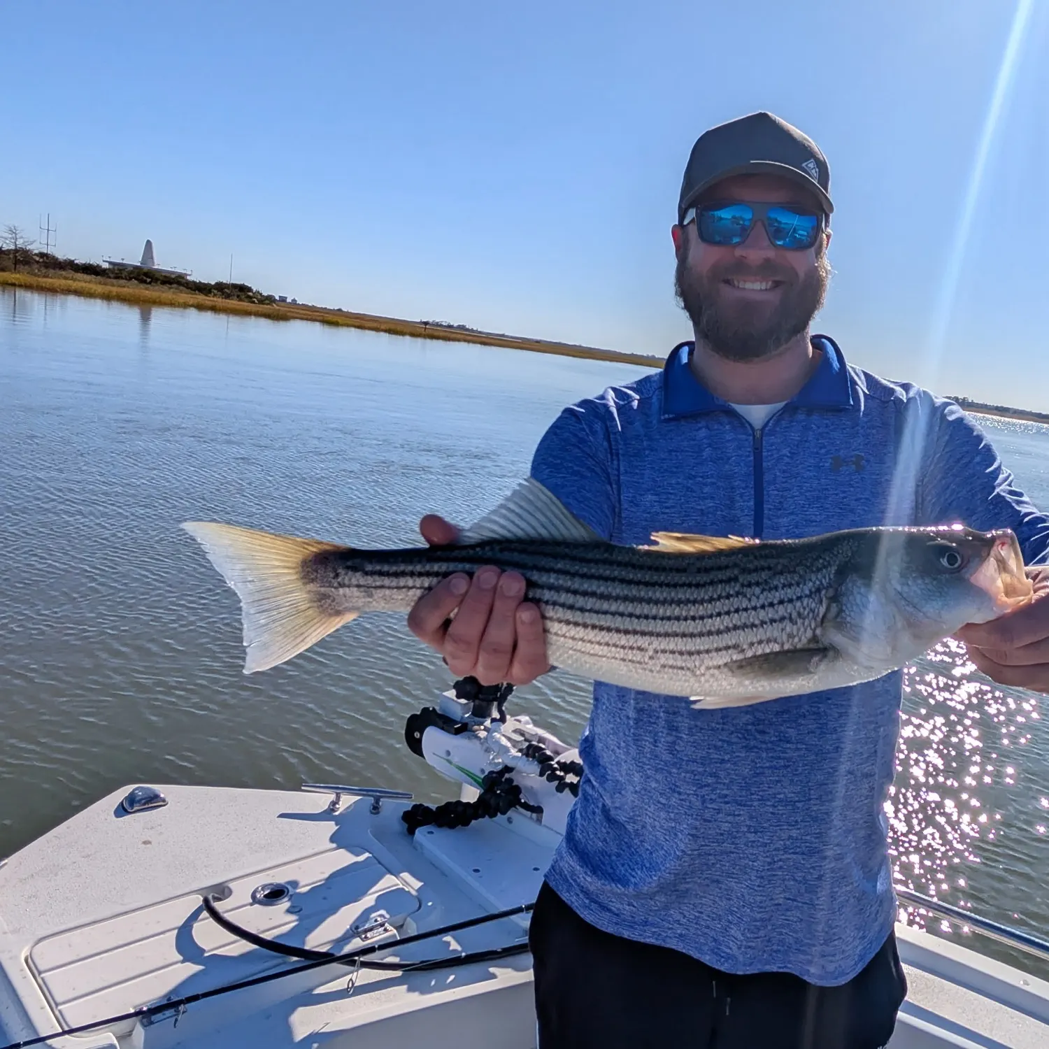 Striped bass caught on Fishbrain