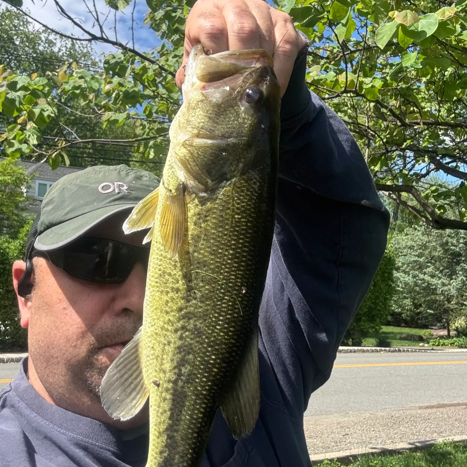 angler catch