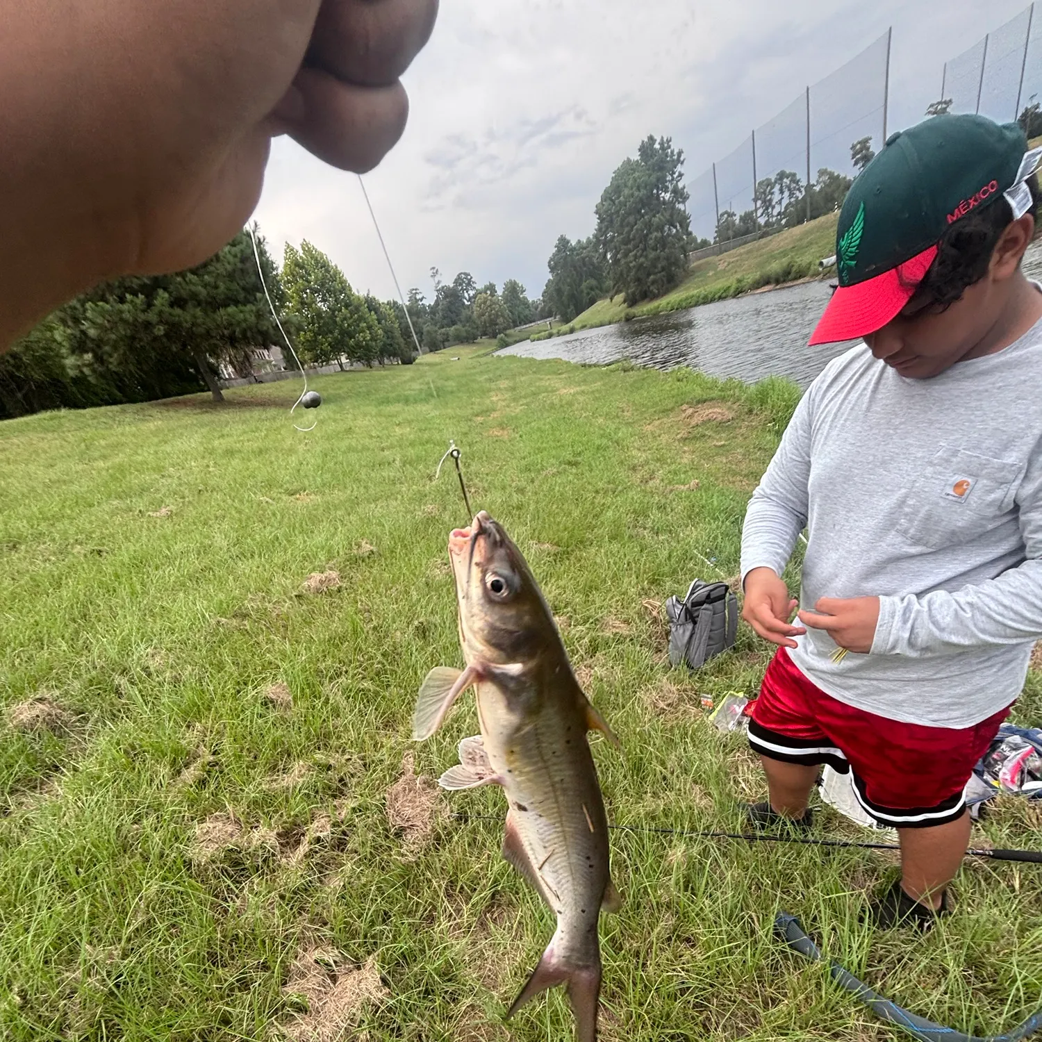 catch