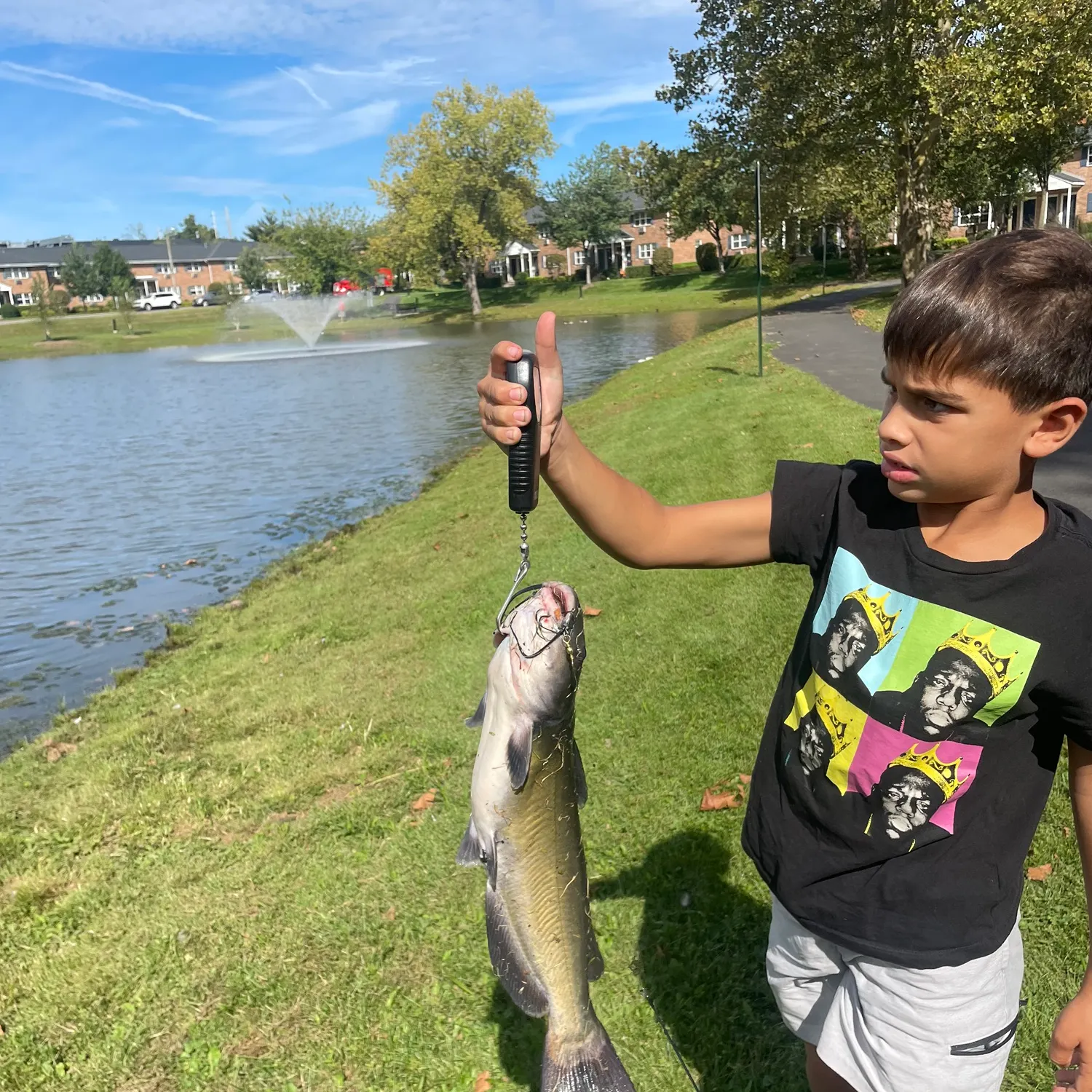 Channel catfish caught on Fishbrain
