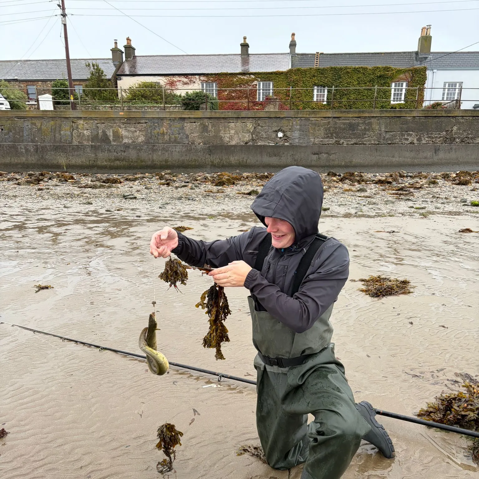 European eel caught on Fishbrain