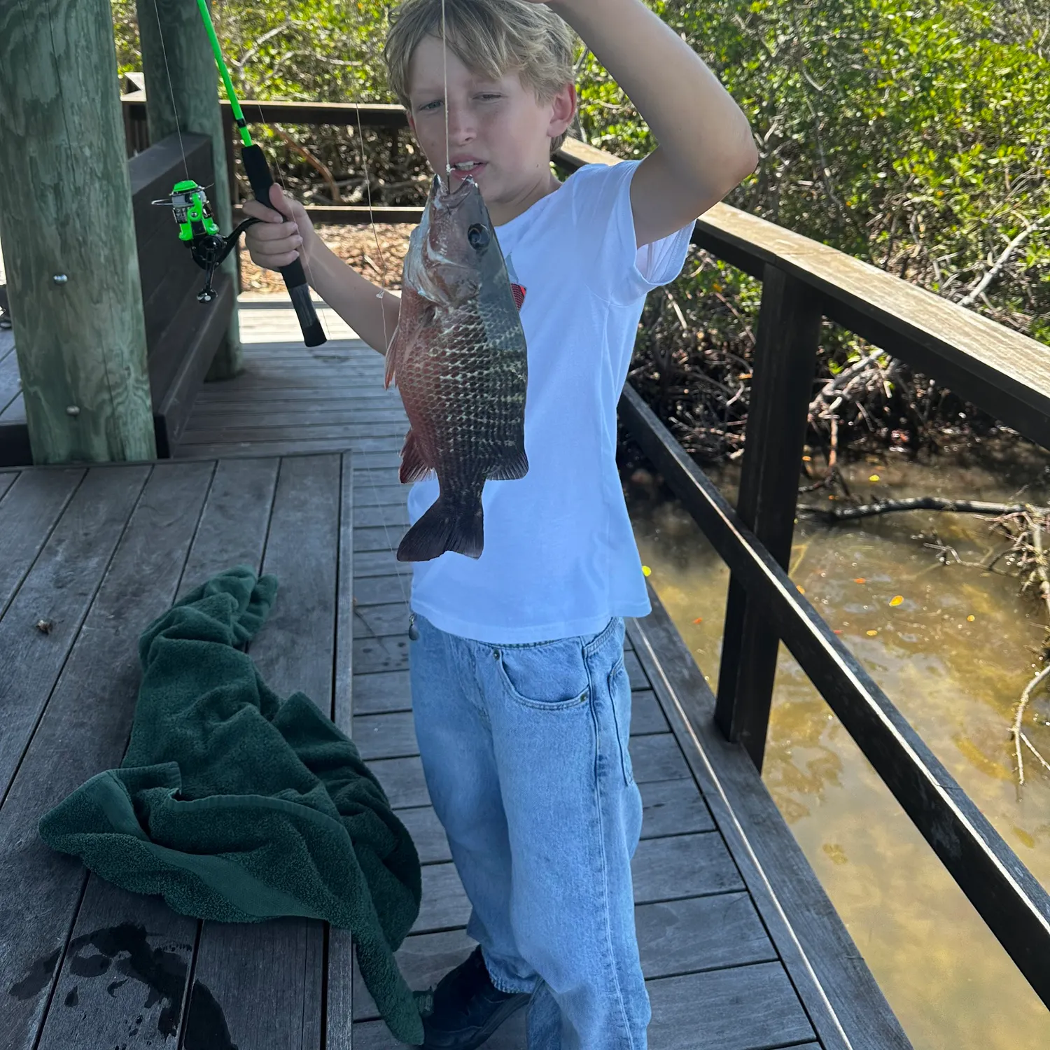 recently logged catches