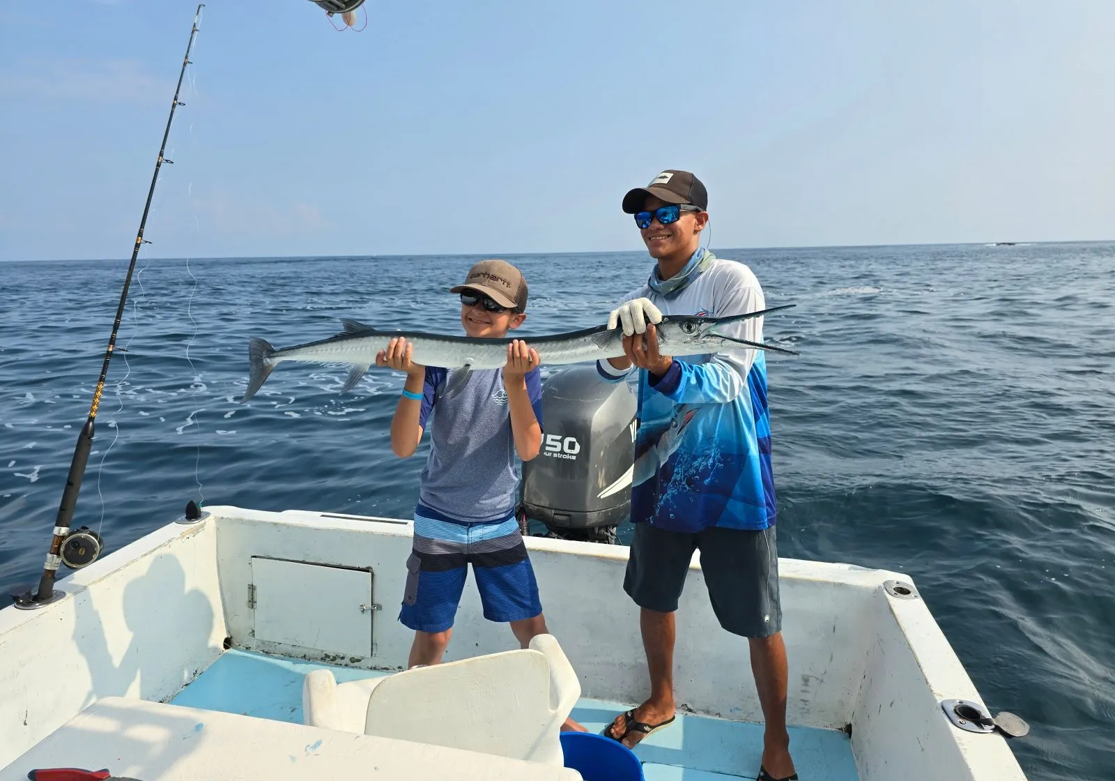 Mexican needlefish