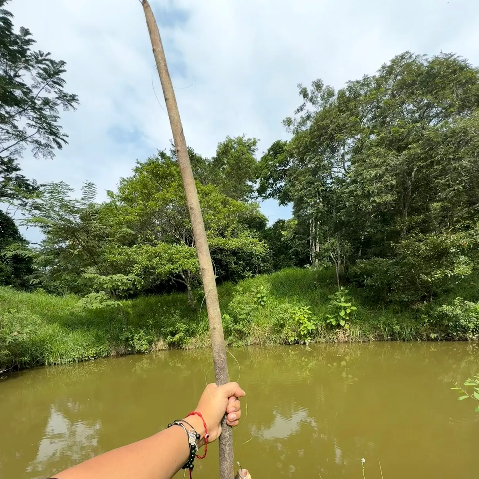 The most recent Redbreast tilapia catches on Fishbrain