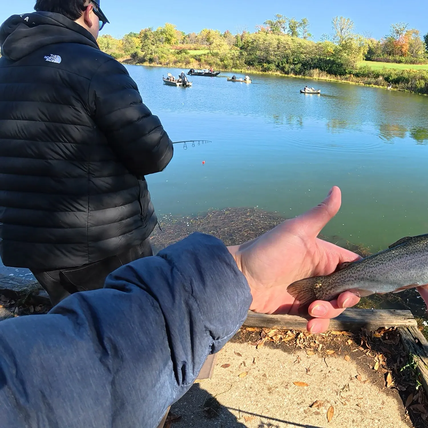 Rainbow trout caught on Fishbrain