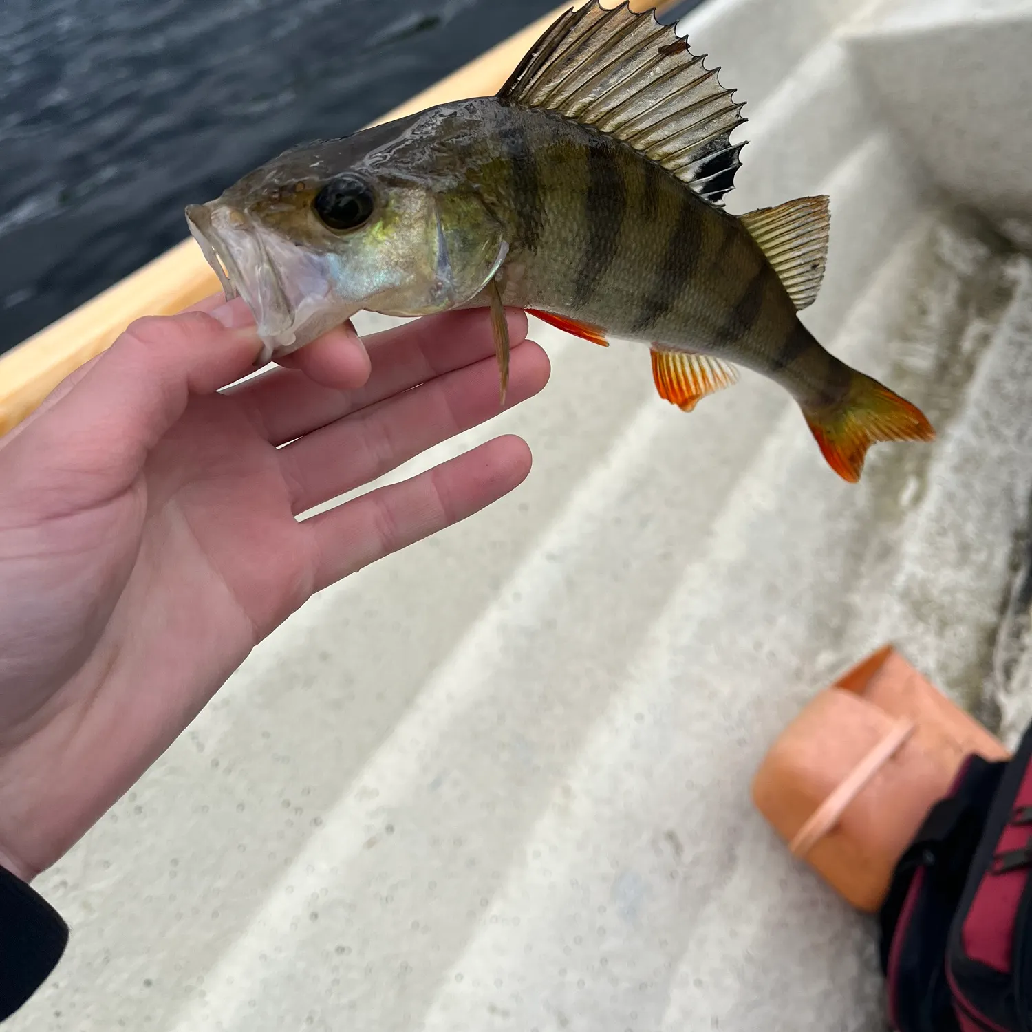 catch