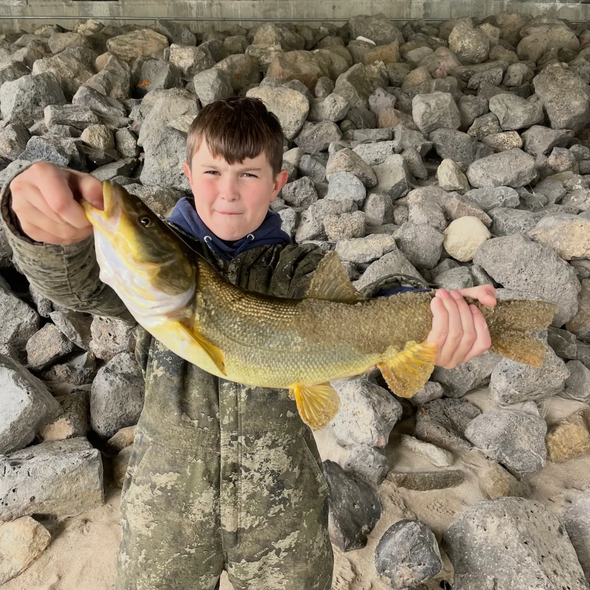 Northern pikeminnow caught on Fishbrain